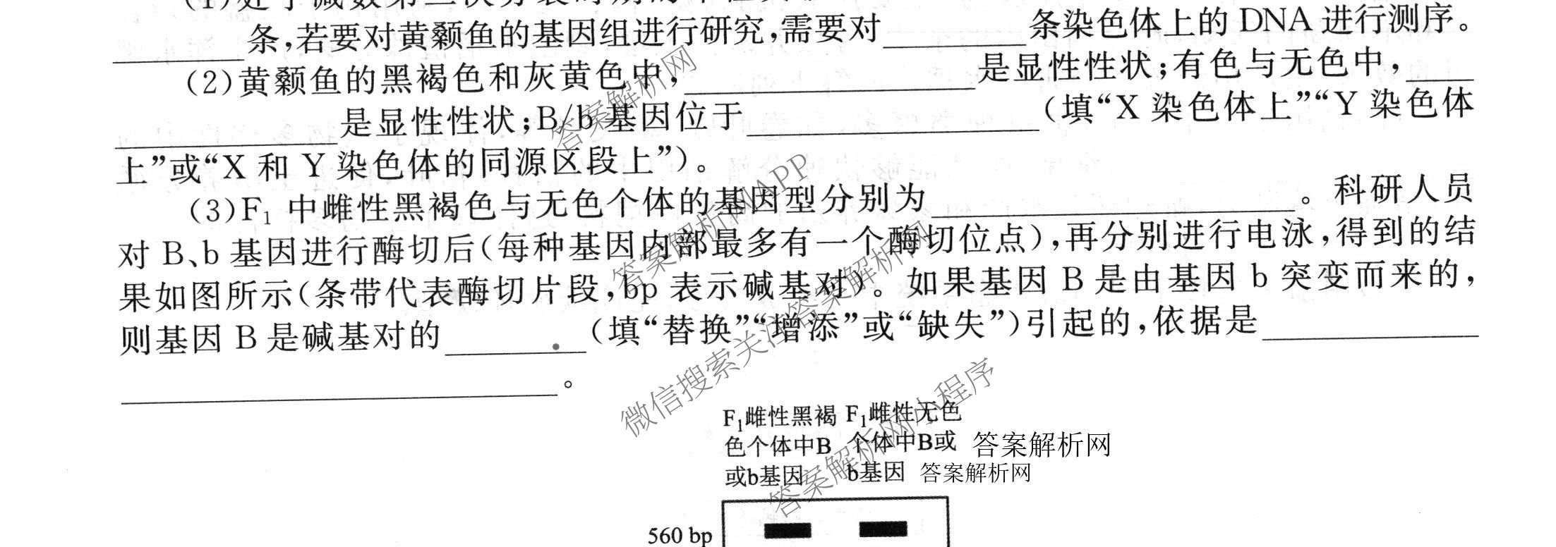 衡水金卷2025-2026学年度高三年级适应性测试(一)各科答案及试卷(已更新地理 生物 语文等9份)生物试题
