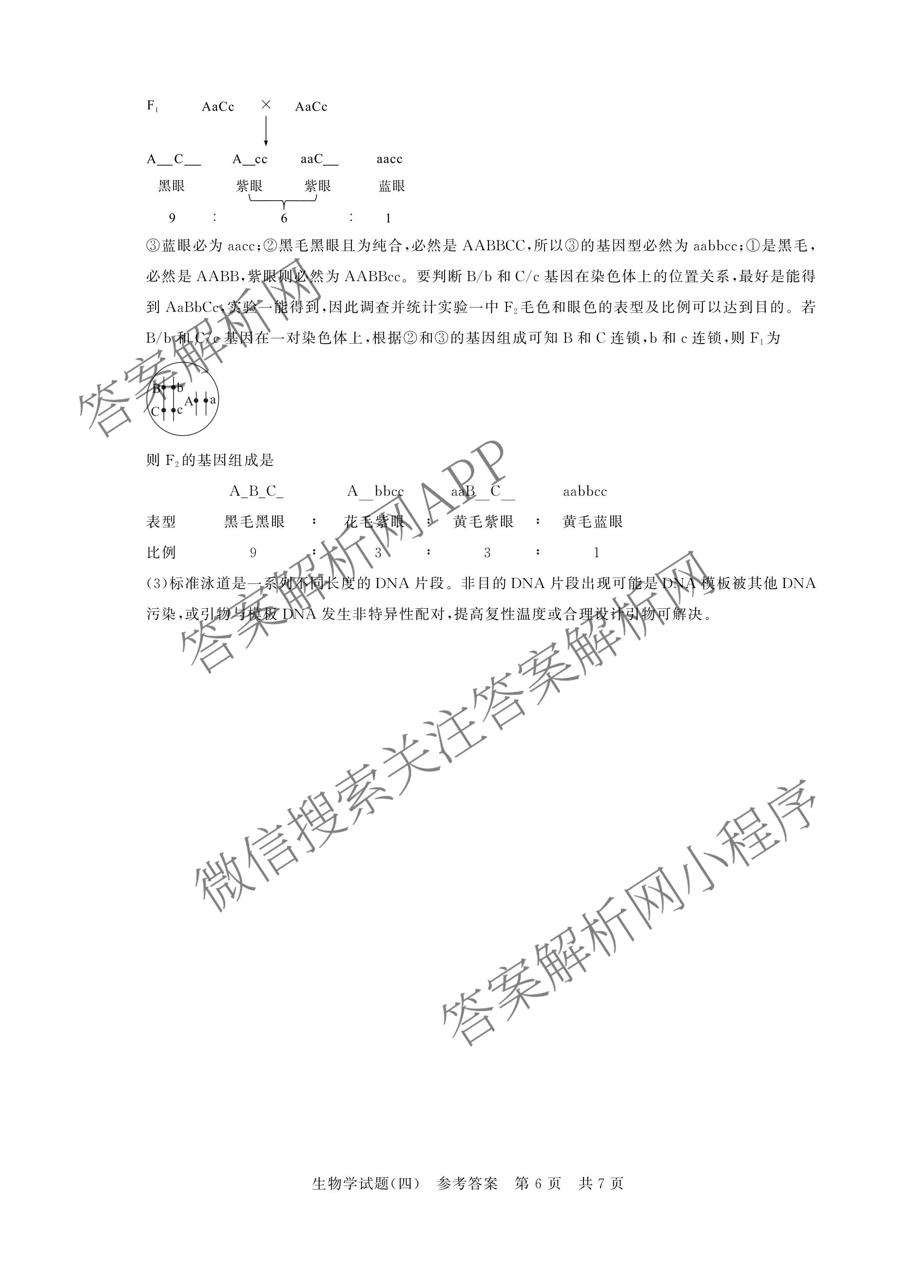 冲刺新高考2026届高考仿真模拟卷(T8)(四)4各科答案及试卷（含地理、生物(湖南专版)、数学等20份）生物答案