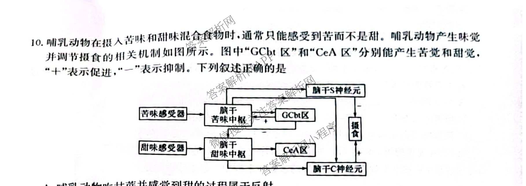 甘肃省市县重点高中教研协作联盟2026~2027学年高三起点摸底考试(27-L-015C)试卷及答案汇总（含历史、地理、政治等）生物试题