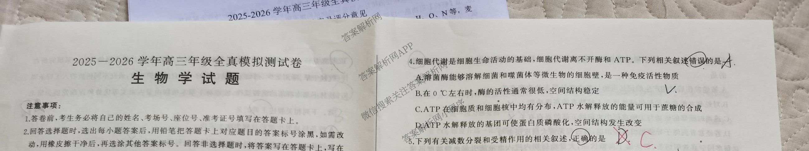 百师联盟2025-2026学年高三年级全真模拟测试卷（含地理 政治 物理(B)等）生物试题