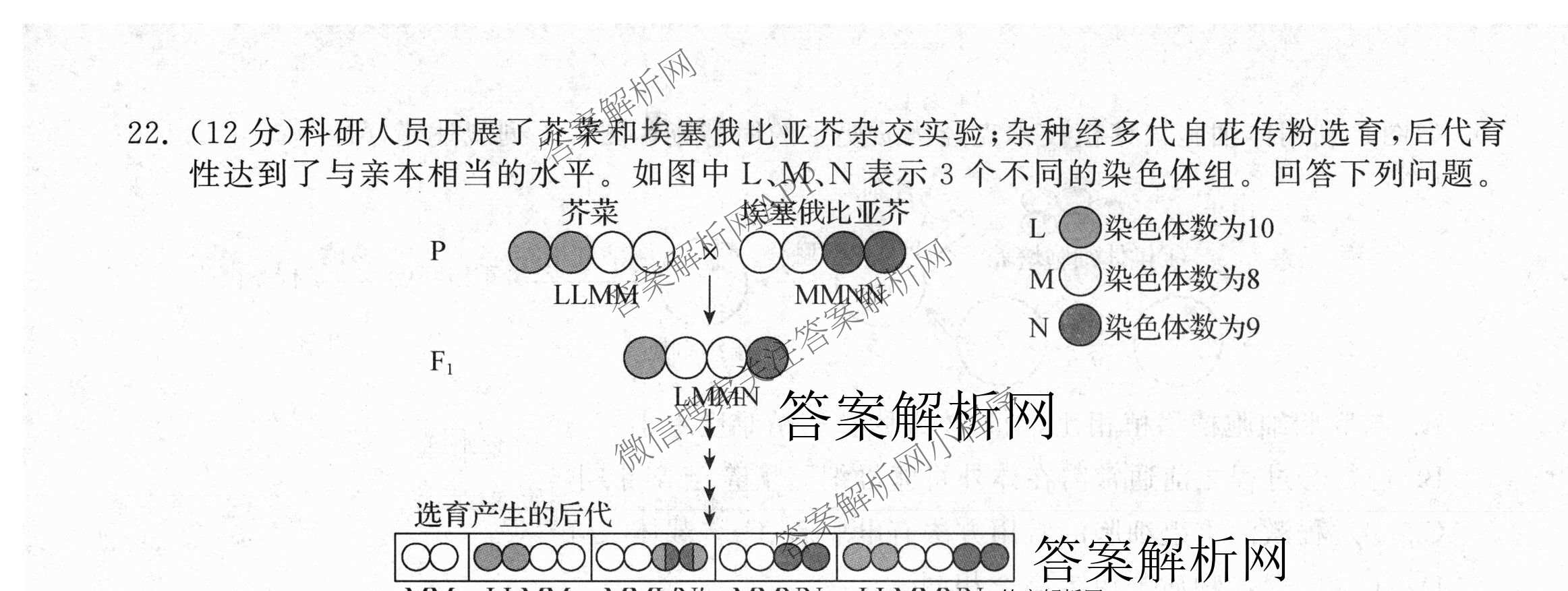 天舟高考衡中同卷2026年普通高等学校招生全国统一考试模拟信息卷(四)4试卷及答案汇总: 含化学(无字母)、数学(无字母)、理综(新疆版)试卷解析生物试题