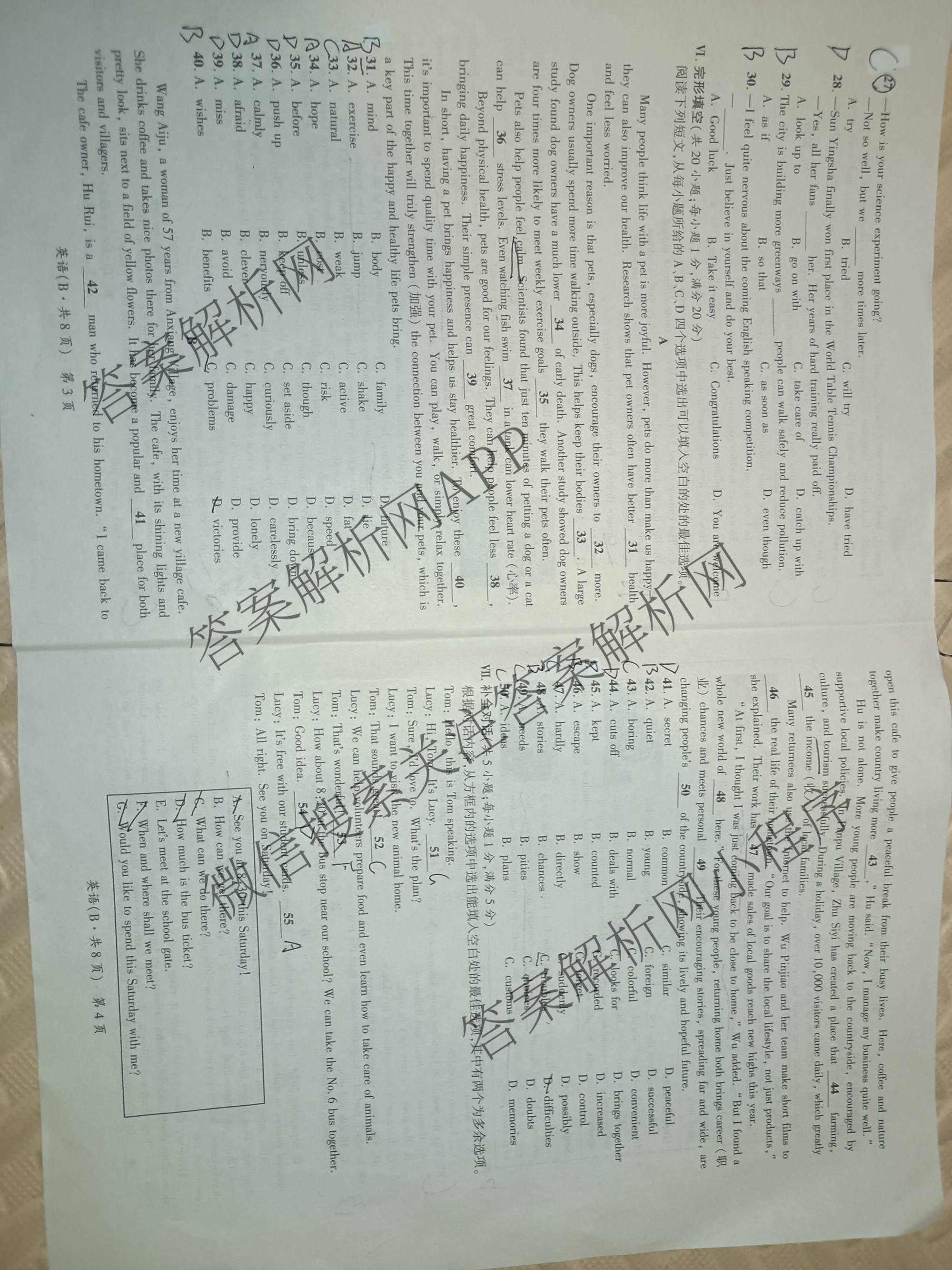 安徽省2026届九年级(无标题)页脚为(B共X页)各科答案及试卷（7科全）英语试题