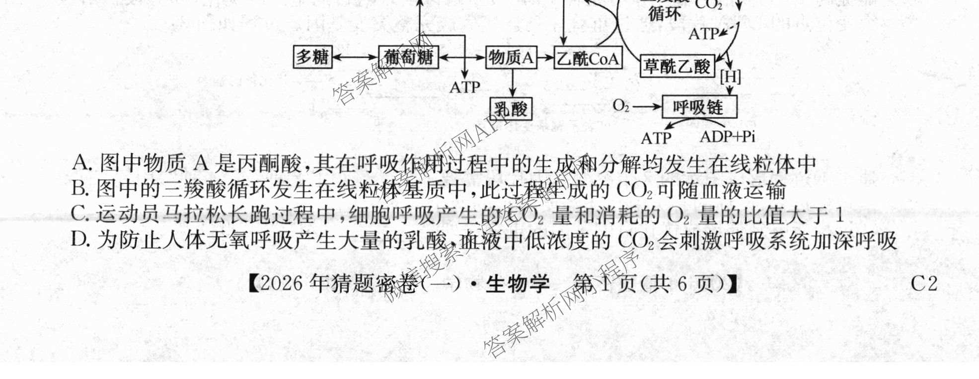 2026年普通高等学校招生全国统一考试猜题密卷(一)1各科答案及试卷(已更新语文 历史(ZZ) 地理(C3)等11份)生物试题