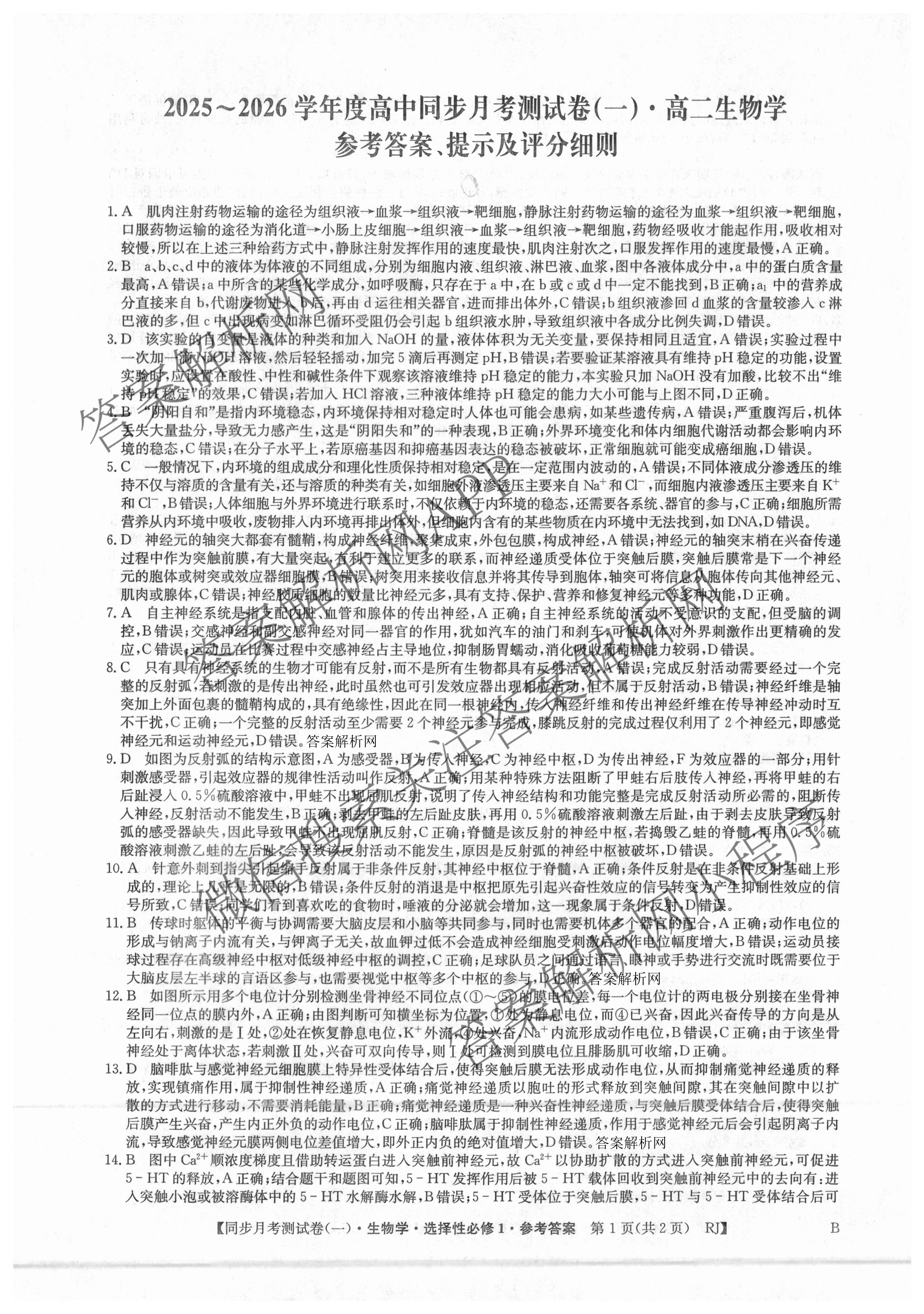 2025~2026学年度高二高中同步月考测试卷(一): 含数学(选择性必修第一册 RJ)、地理(选择性必修1 RJ)、数学(选择性必修第一册 XJ)试卷解析生物答案