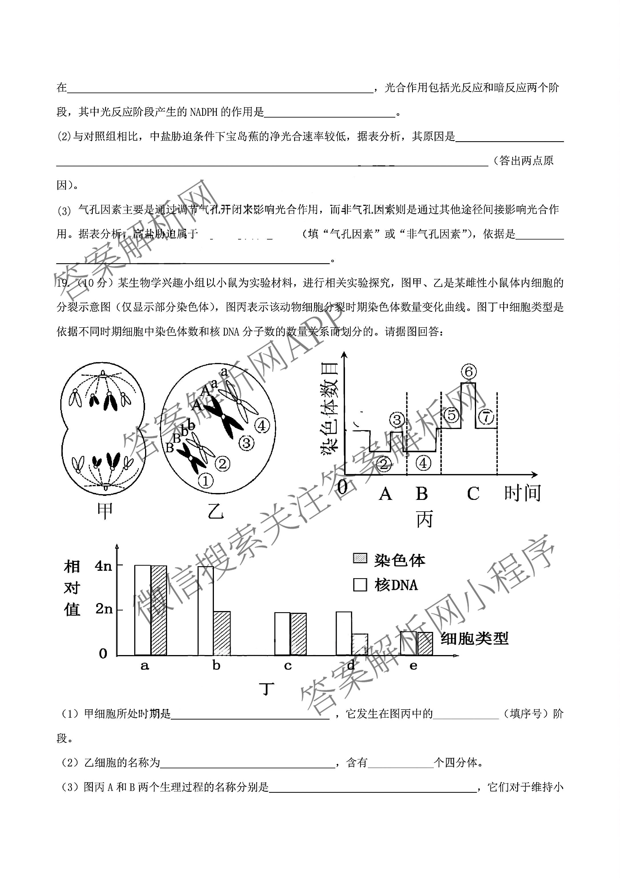 山西省阳泉一中2025年高二分班考试试卷及答案汇总: 含历史、物理、语文试卷解析生物试题