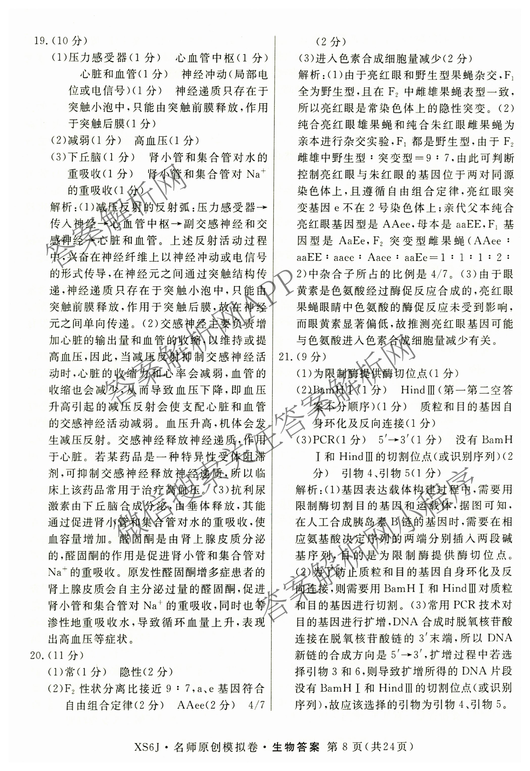 2026届高三总复习名师原创模拟(八)8试卷及答案汇总（含生物(XS6) 历史(XS6) 数学(新S6J)等39份）生物答案