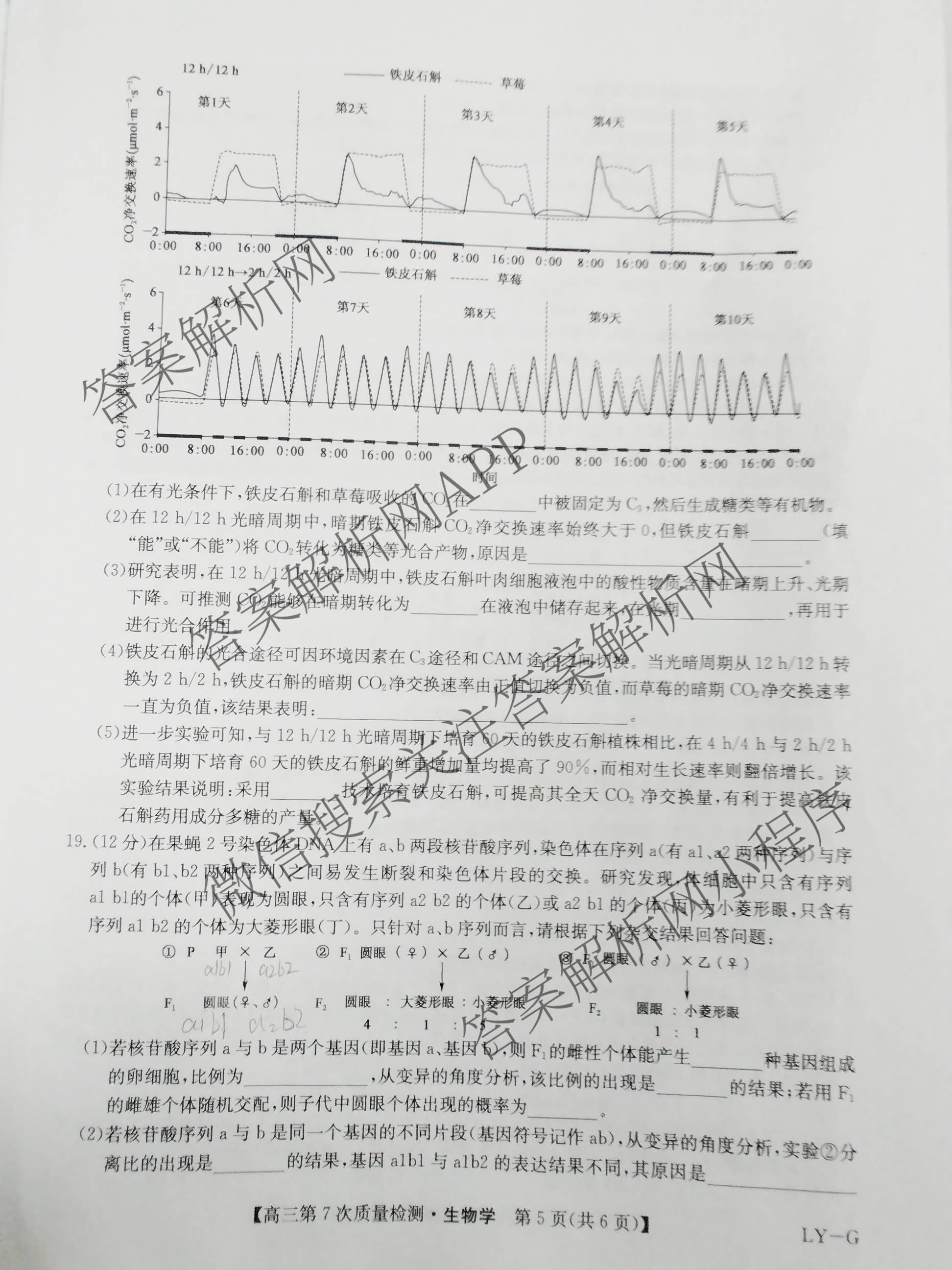 九师联盟2026届高三第7次质量检测巩固卷(G)(03.05)各科答案及试卷（含历史(X-G)、物理(H-G)、物理(L-G)等）生物试题