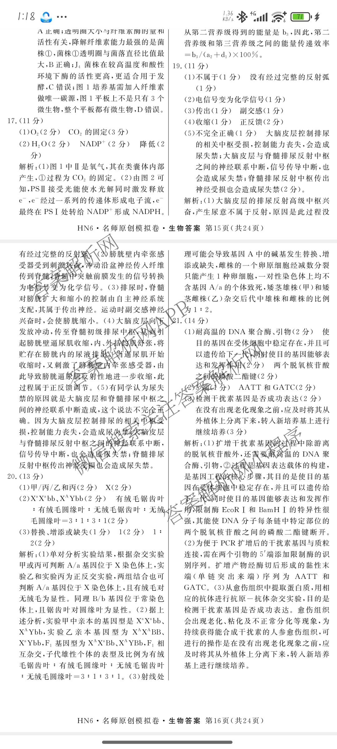 2026届高三总复习名师原创模拟(四)4试卷及答案汇总: 含政治(新S6J) 历史(新S6J) 语文(XS6J)试卷解析生物答案