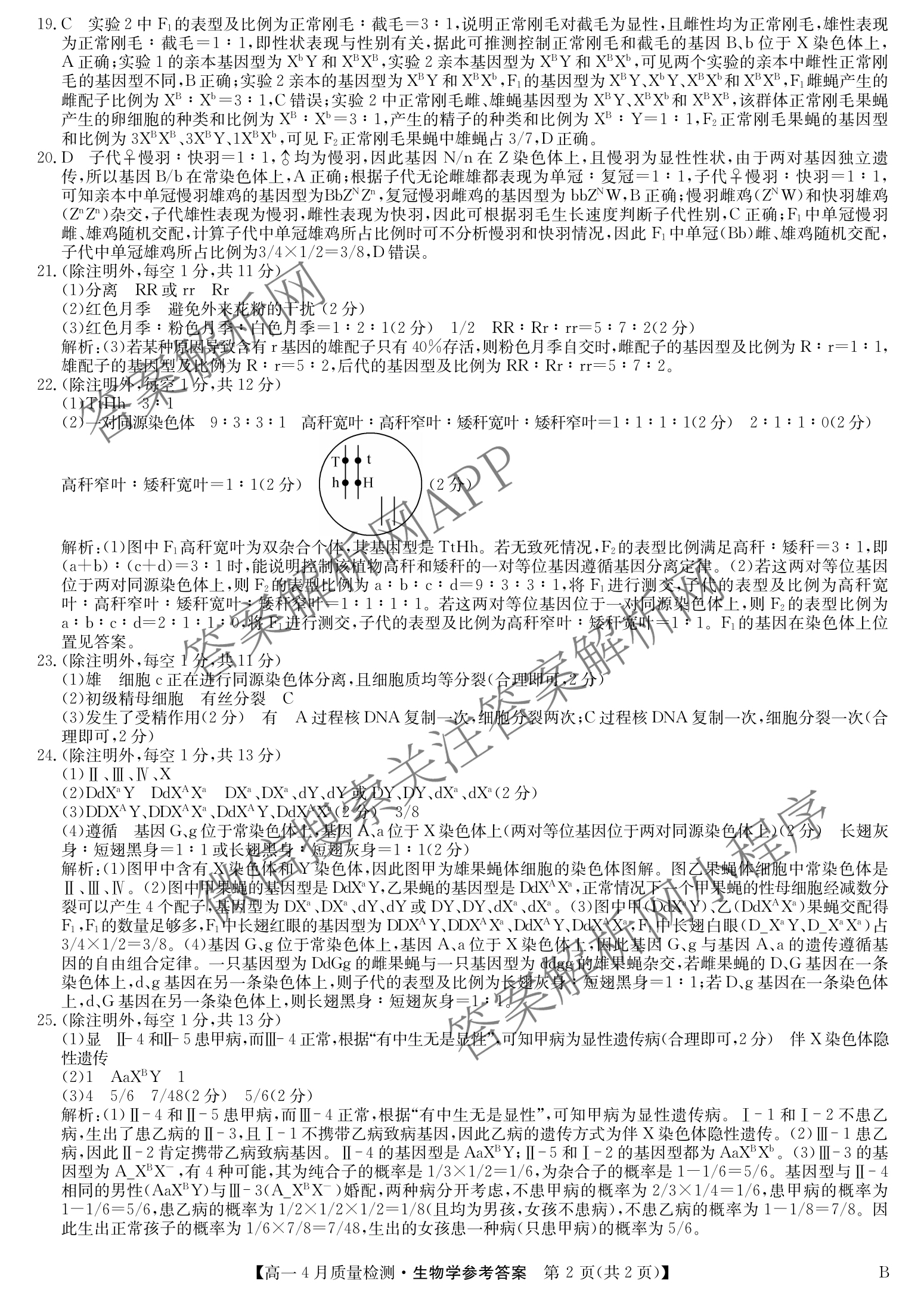 九师联盟2024-2025学年度高一4月质量检测各科答案及试卷: 含生物(B) 化学(人教) 英语试卷解析生物答案