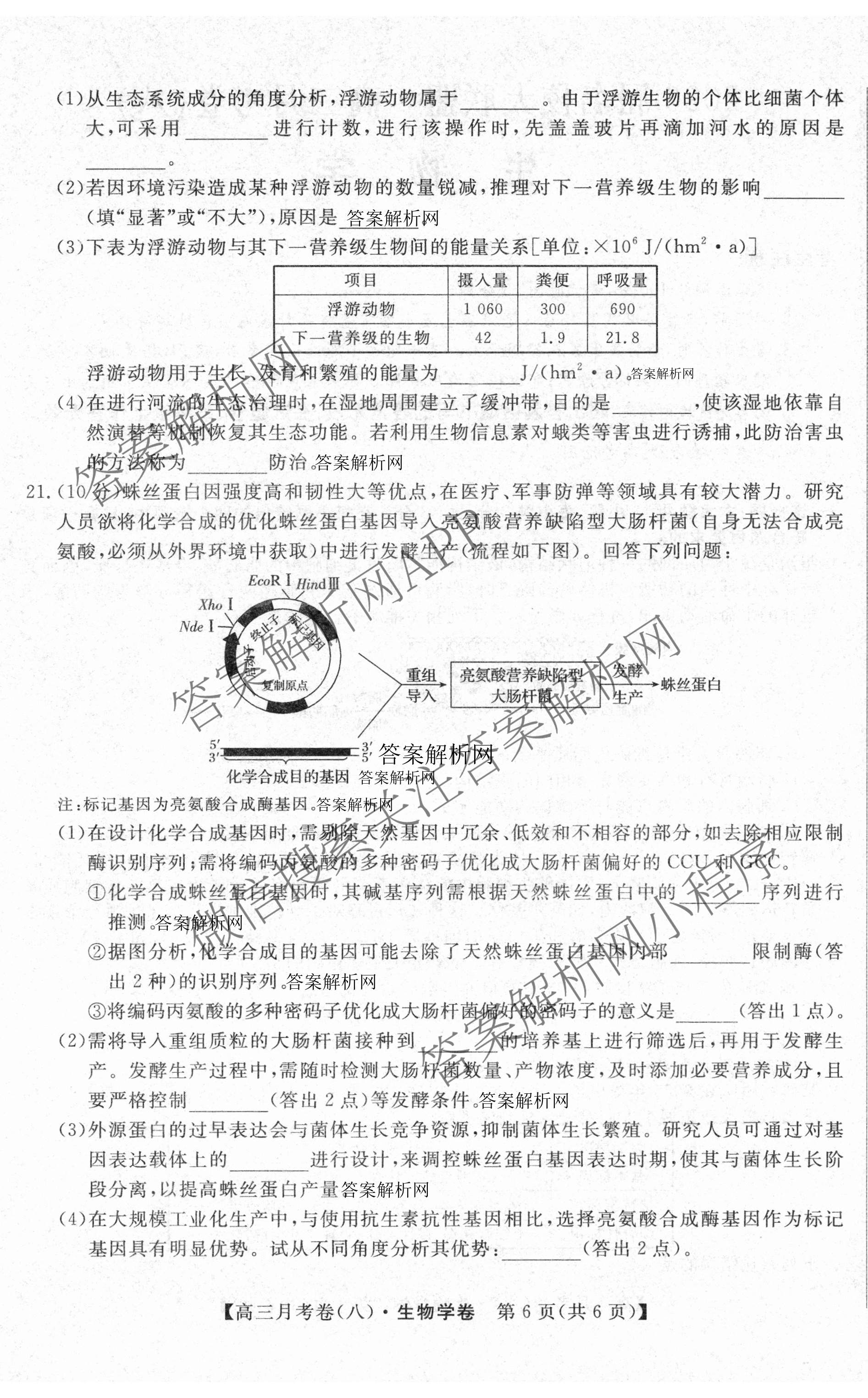 2026届名校大联盟高三月考卷(八)8各科答案及试卷（含化学 英语 历史等）生物试题