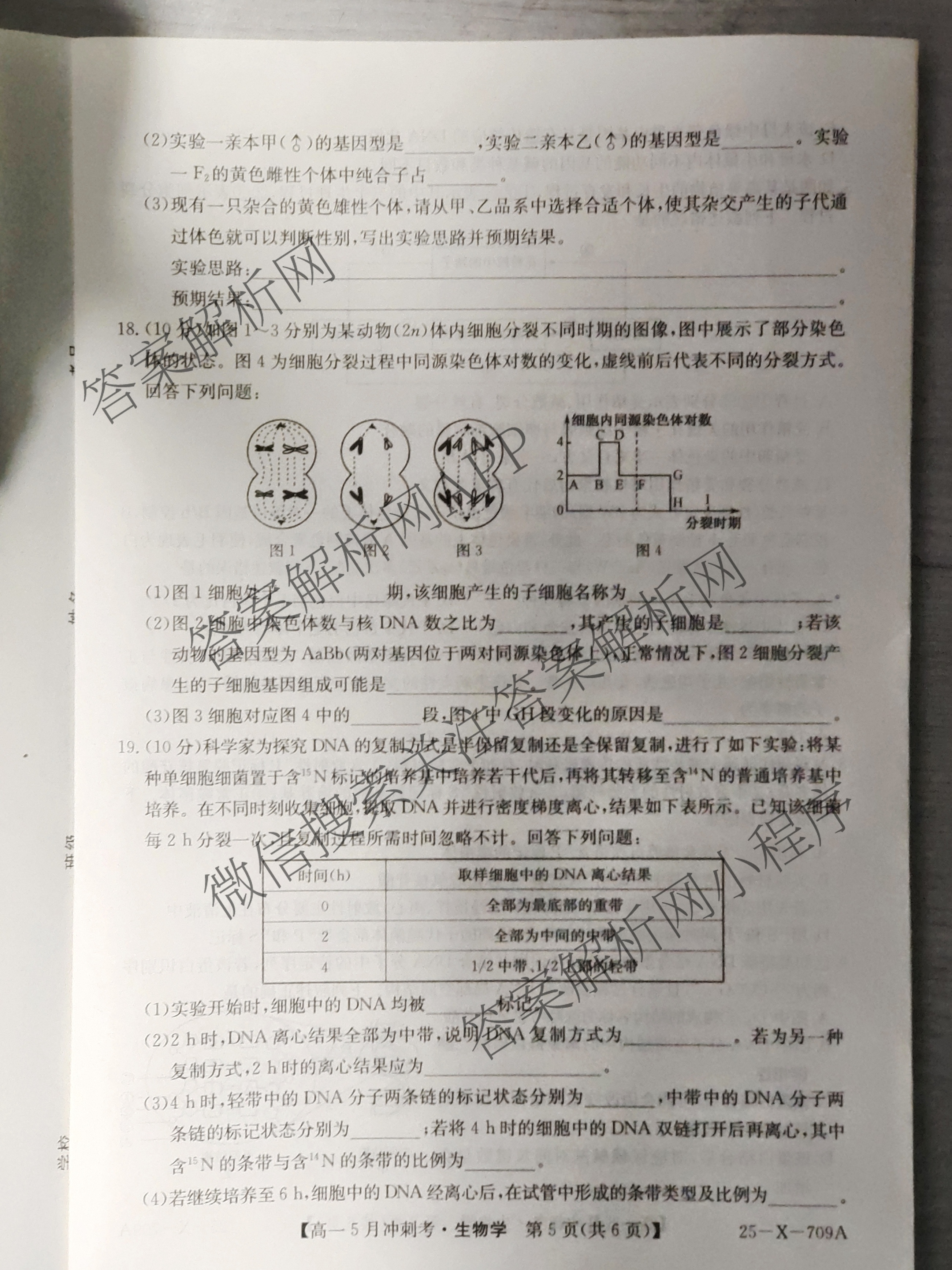 三晋卓越联盟山西省2024~2025学年第二学期高一5月冲刺考(25-X-709A)试卷及答案汇总（含政治(B卷)、数学(B卷)、历史等）生物试题