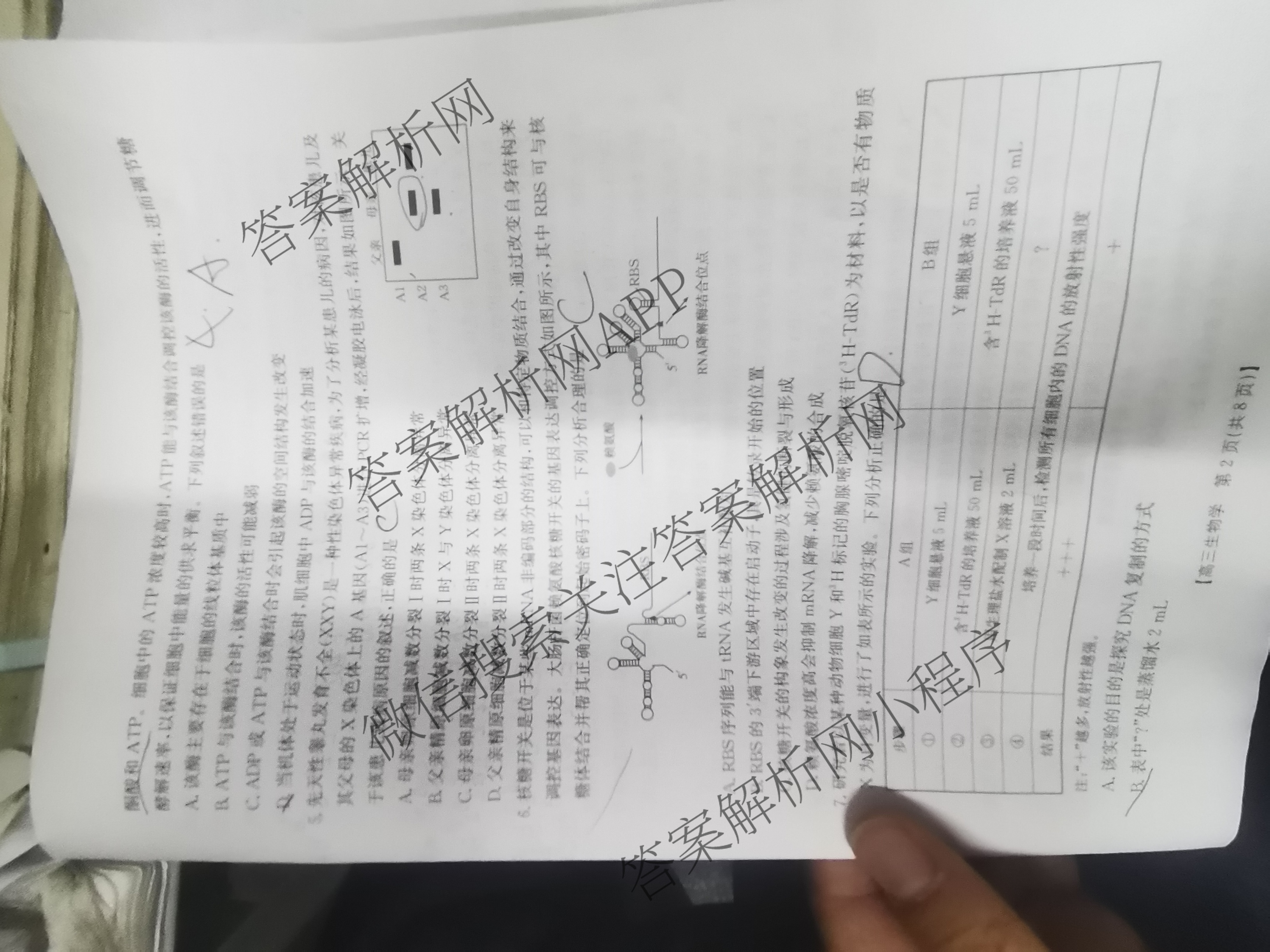 2025年定西市普通高中高三年级诊断考试各科答案及试卷（含政治 化学 语文等）生物试题