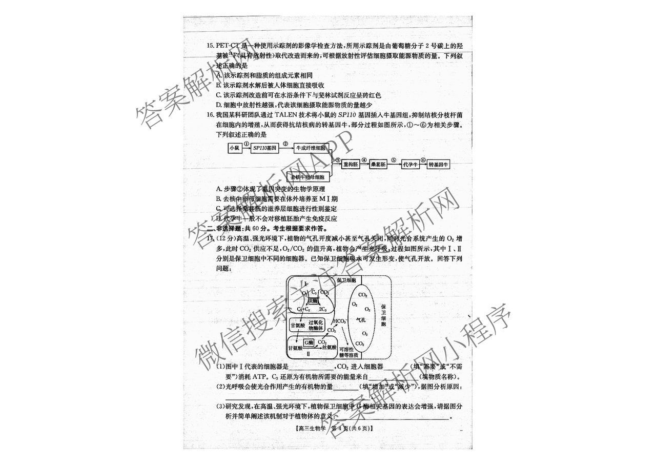 广西2026届高三开学考试(8.6)各科答案及试卷（含语文 历史 数学等）生物试题