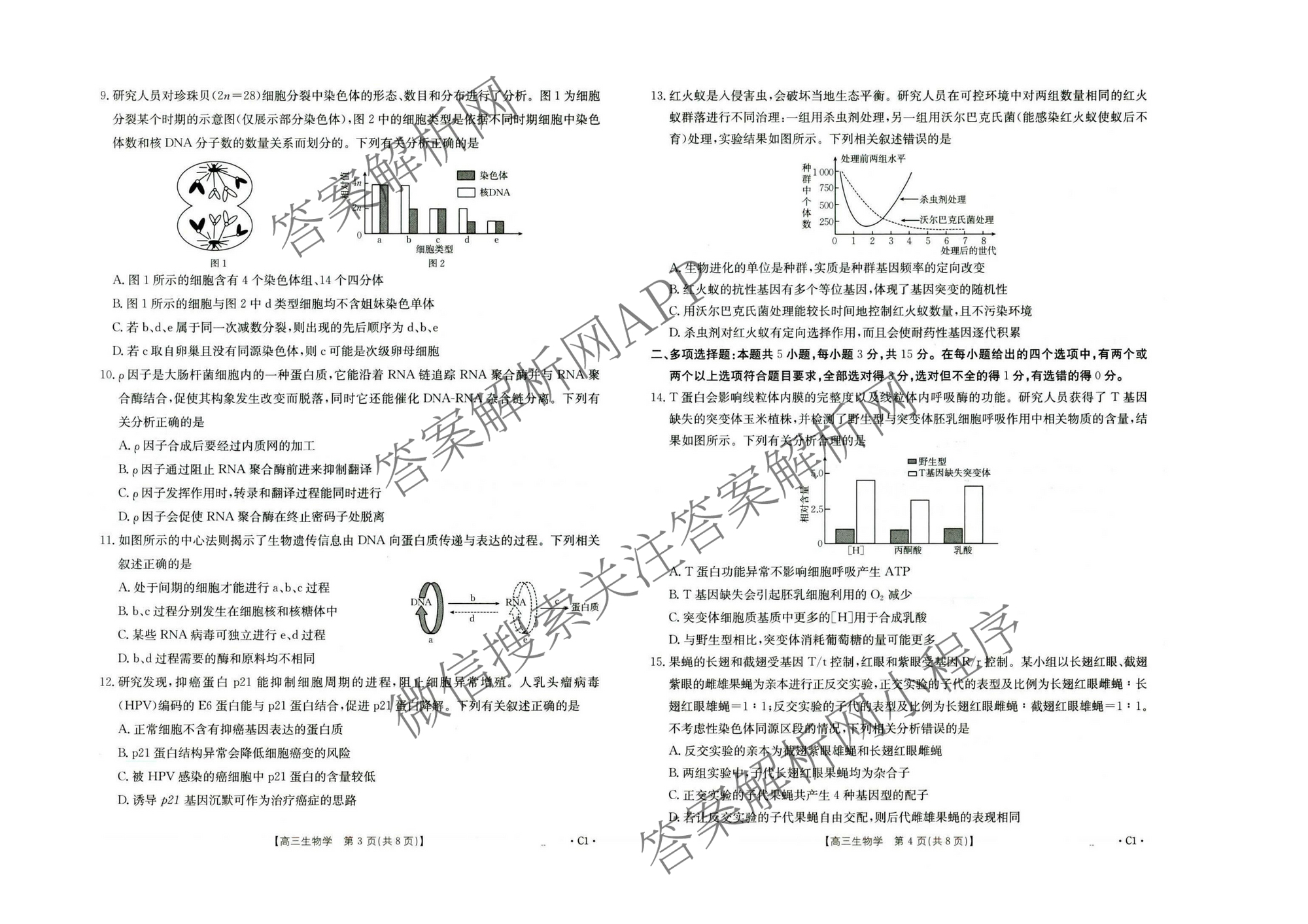 河北省2026届高三年级上学期10月联考(10.27)试卷及答案汇总(含语文、政治(C2)、数学等9份)生物试题 河北省2026届高三年级上学期10月联考(10.27)试卷及答案汇总(含语文、政治(C2)、数学等9份)生物试题