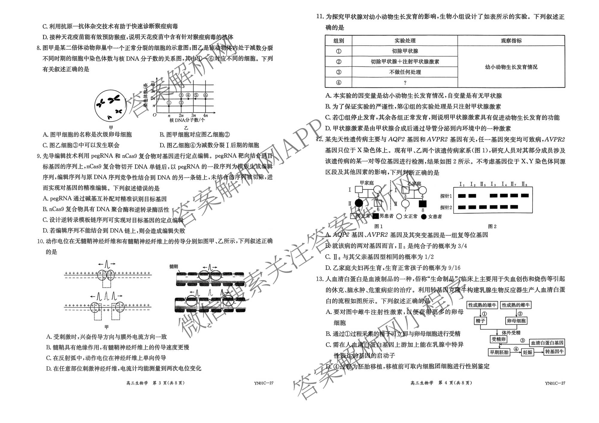 云南省昆明市第一中学2027届高三上学期9月考试(YN01C-27)(已更新政治、历史、英语等9份)生物试题