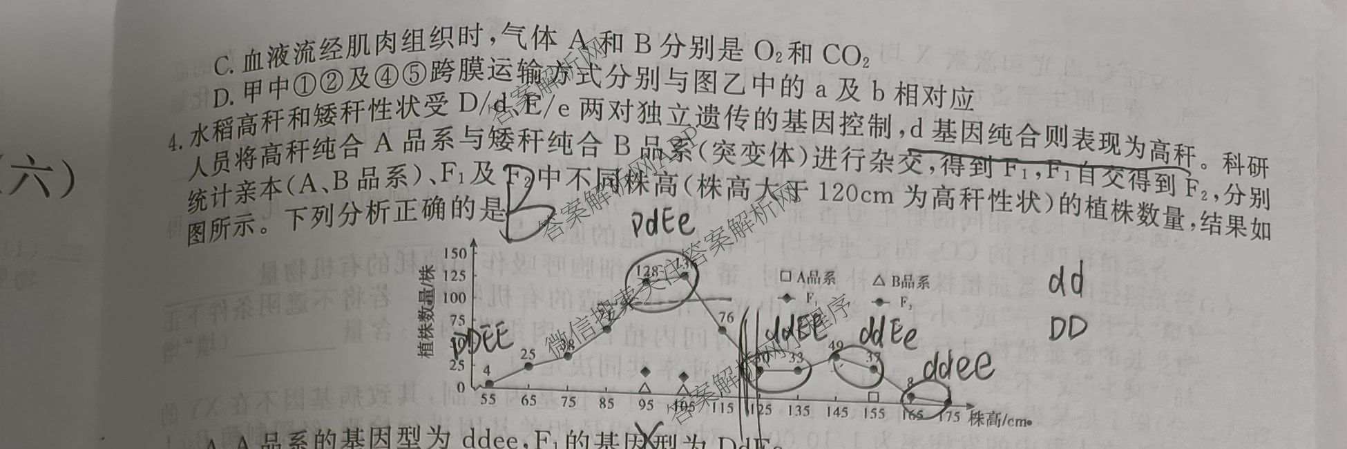 2026普通高等学校招生全国统一考试冲刺押题卷(六)6各科答案及试卷（含数学(A)、语文、生物(HBJ)等）生物试题