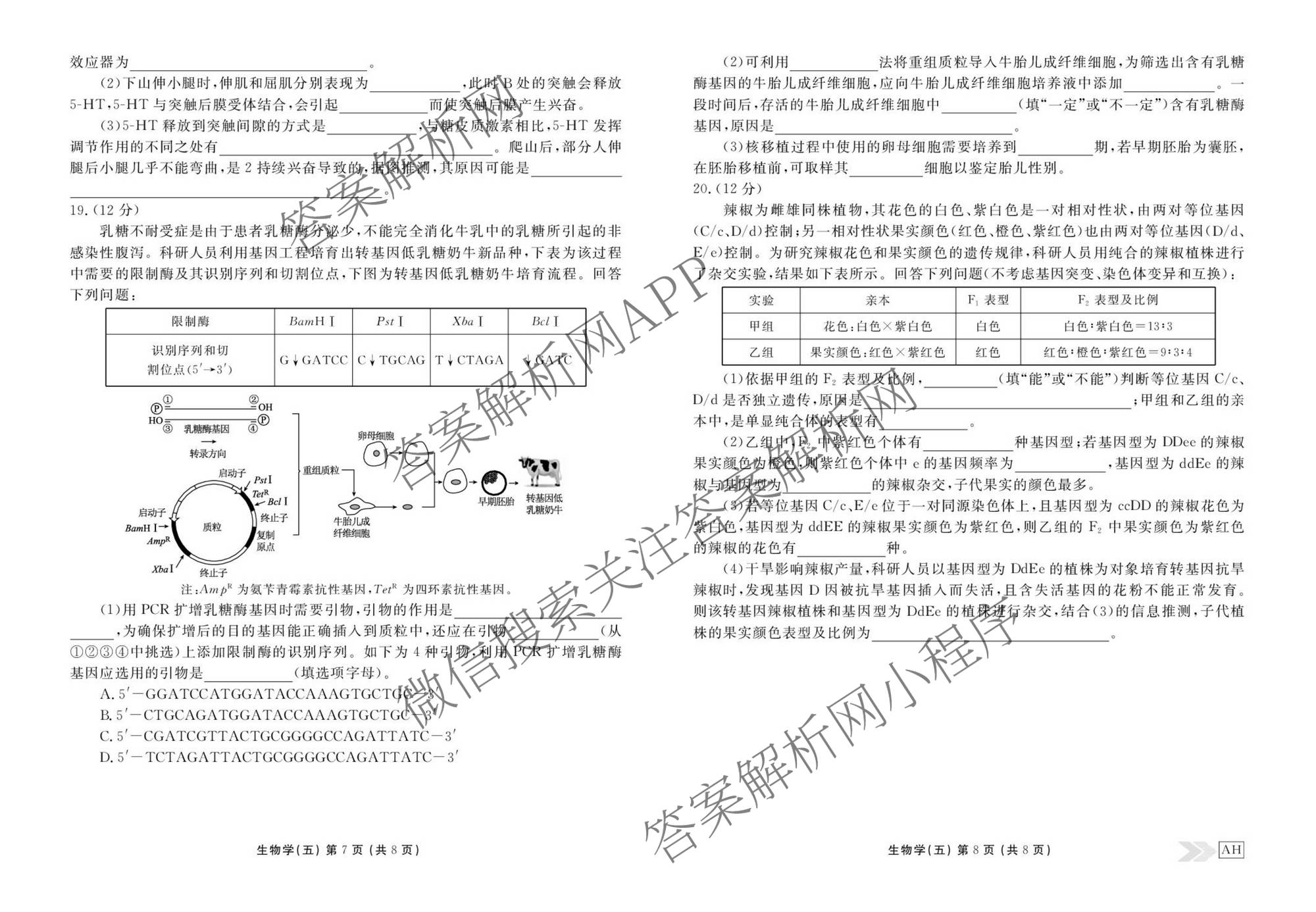 衡水金卷先享题2026年学科素养评价练(五)5(已更新地理(HJ)【河北专版】、地理(HN)【湖南专版】、生物(CY)【四川重庆专版】等90份)生物试题