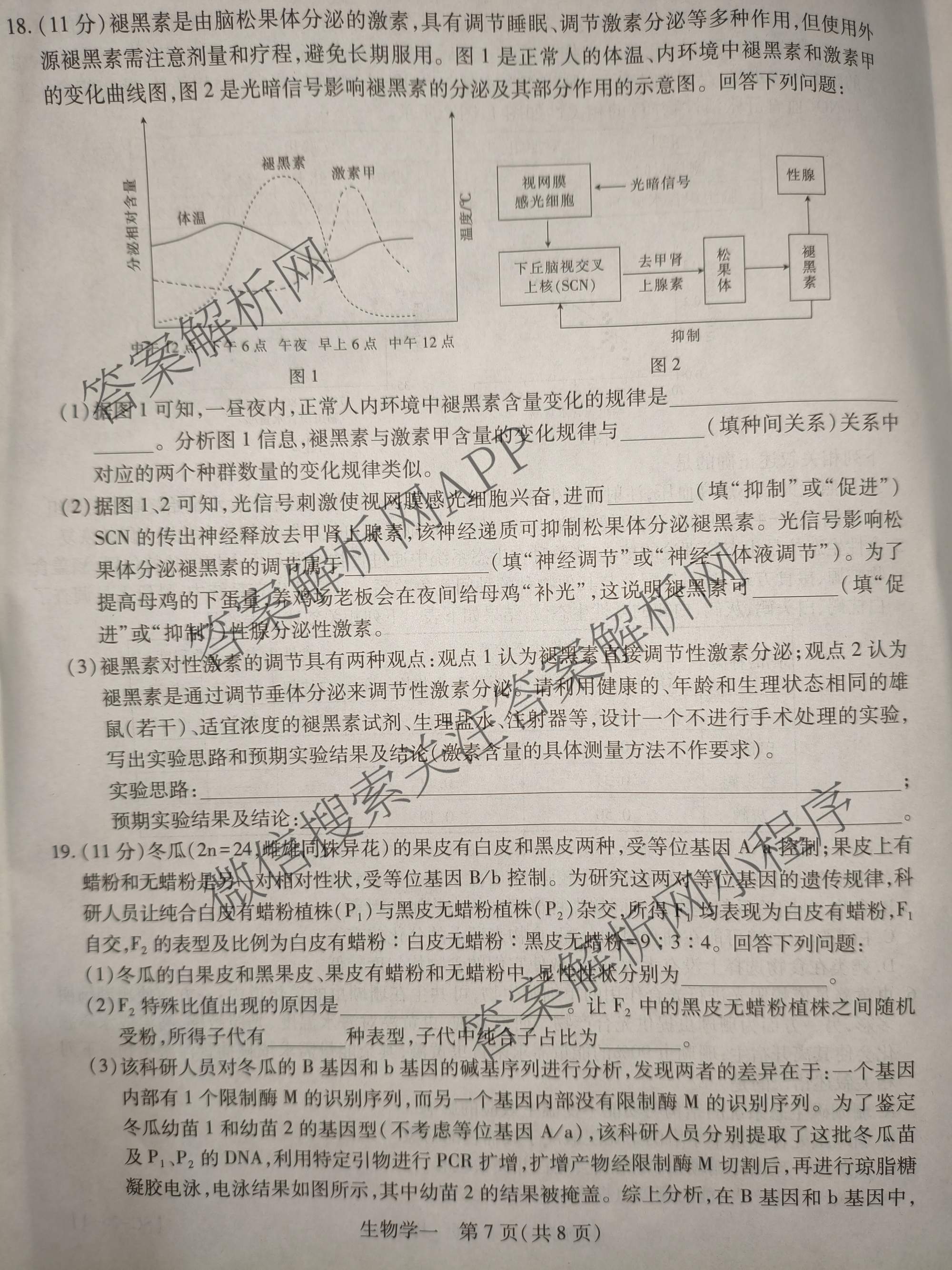 2026届智慧上进名校学术联盟高考模拟信息卷&冲刺卷&预测卷(一)1试卷及答案汇总（含化学(GD-26-1) 英语(I B-26-1) 英语(IA26-1)等）生物试题