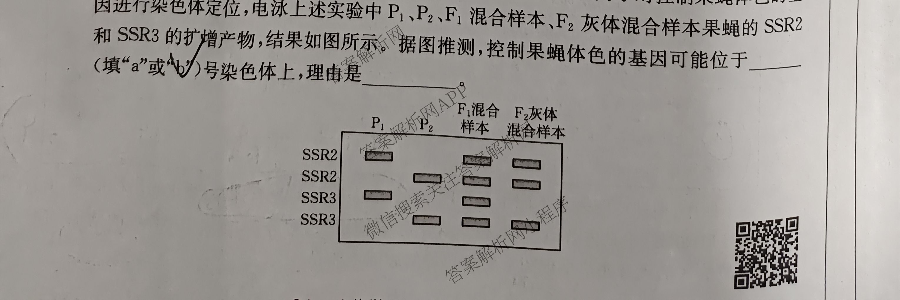 [百万联考]陕西省2025届高三5月联考[SX](5.22)各科答案及试卷（含语文 政治 数学等9份）生物试题