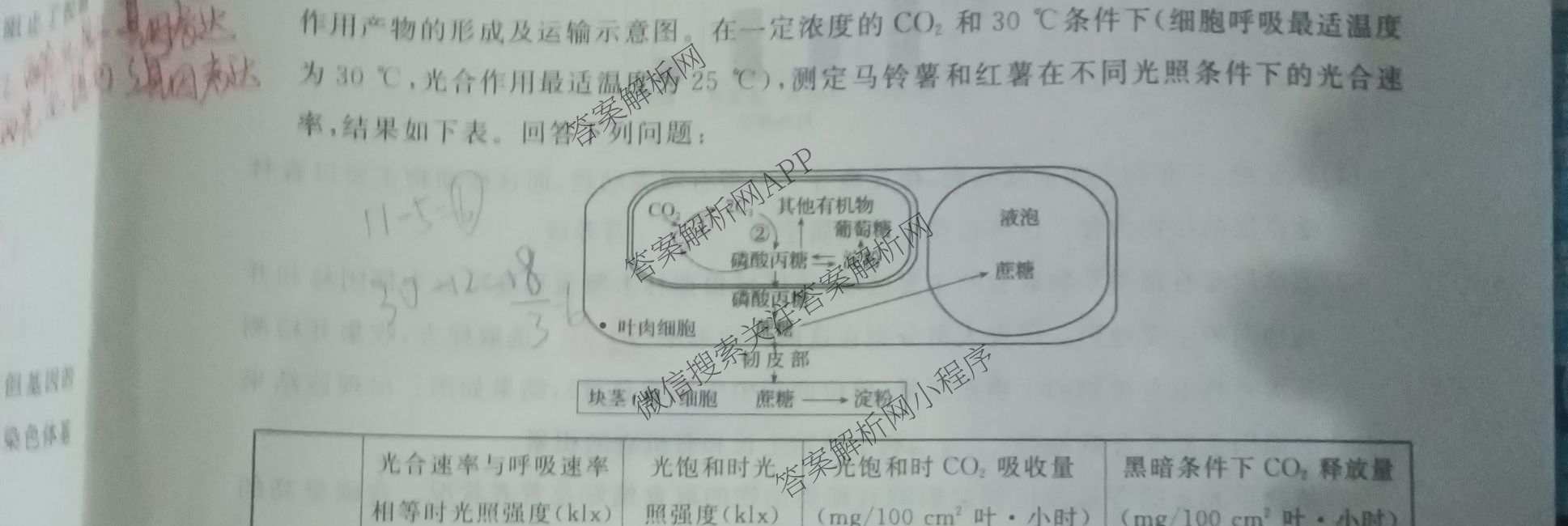 2025年普通高校招生考试冲刺压轴卷(一)1各科答案及试卷(已更新历史(K在括号外)、语文(X在括号外)、生物(A在括号外)等58份)生物试题