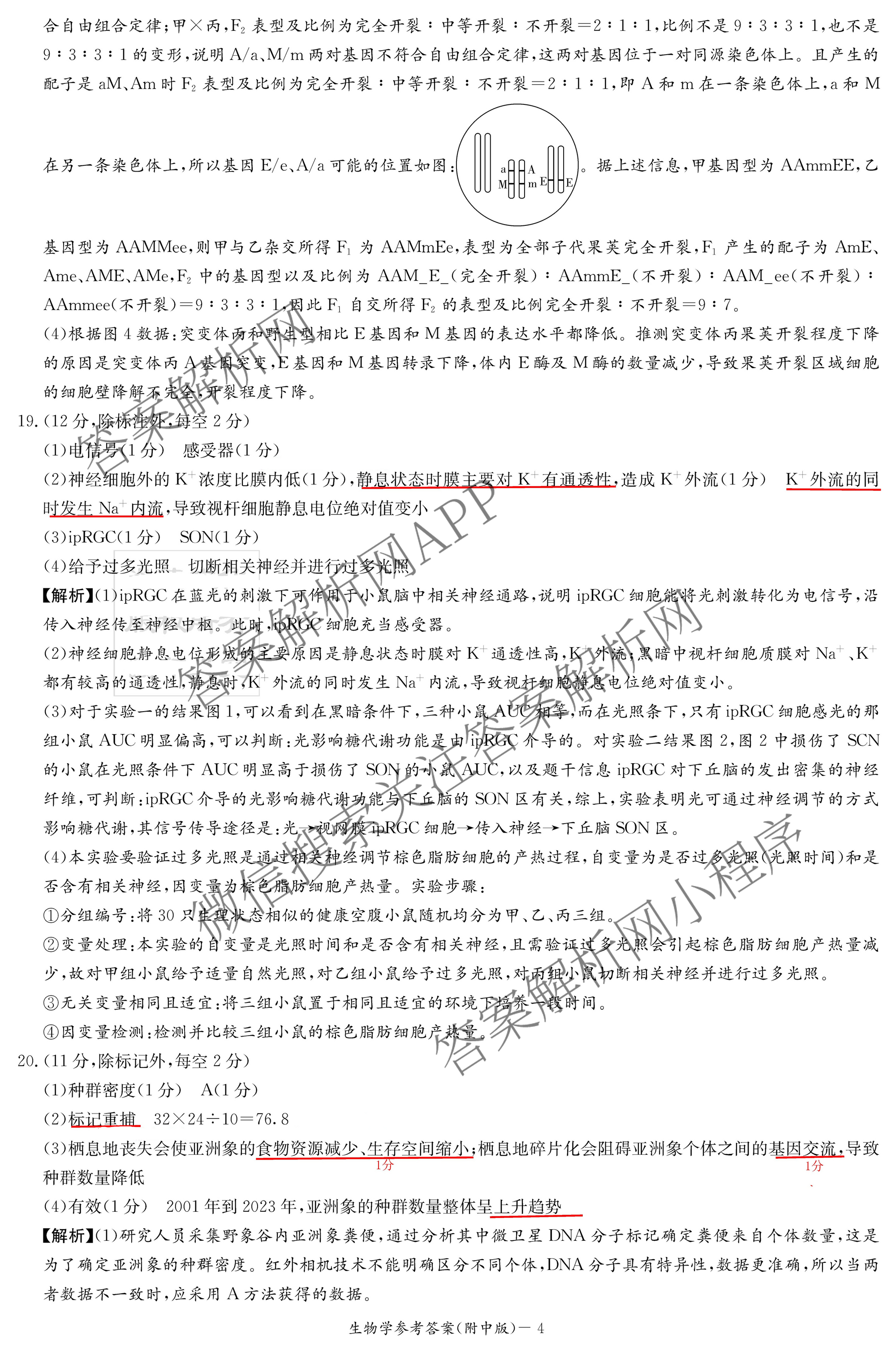 炎德英才大联考湖南师大附中2026届高三月考试卷(四)试卷及答案汇总（10科全）生物答案