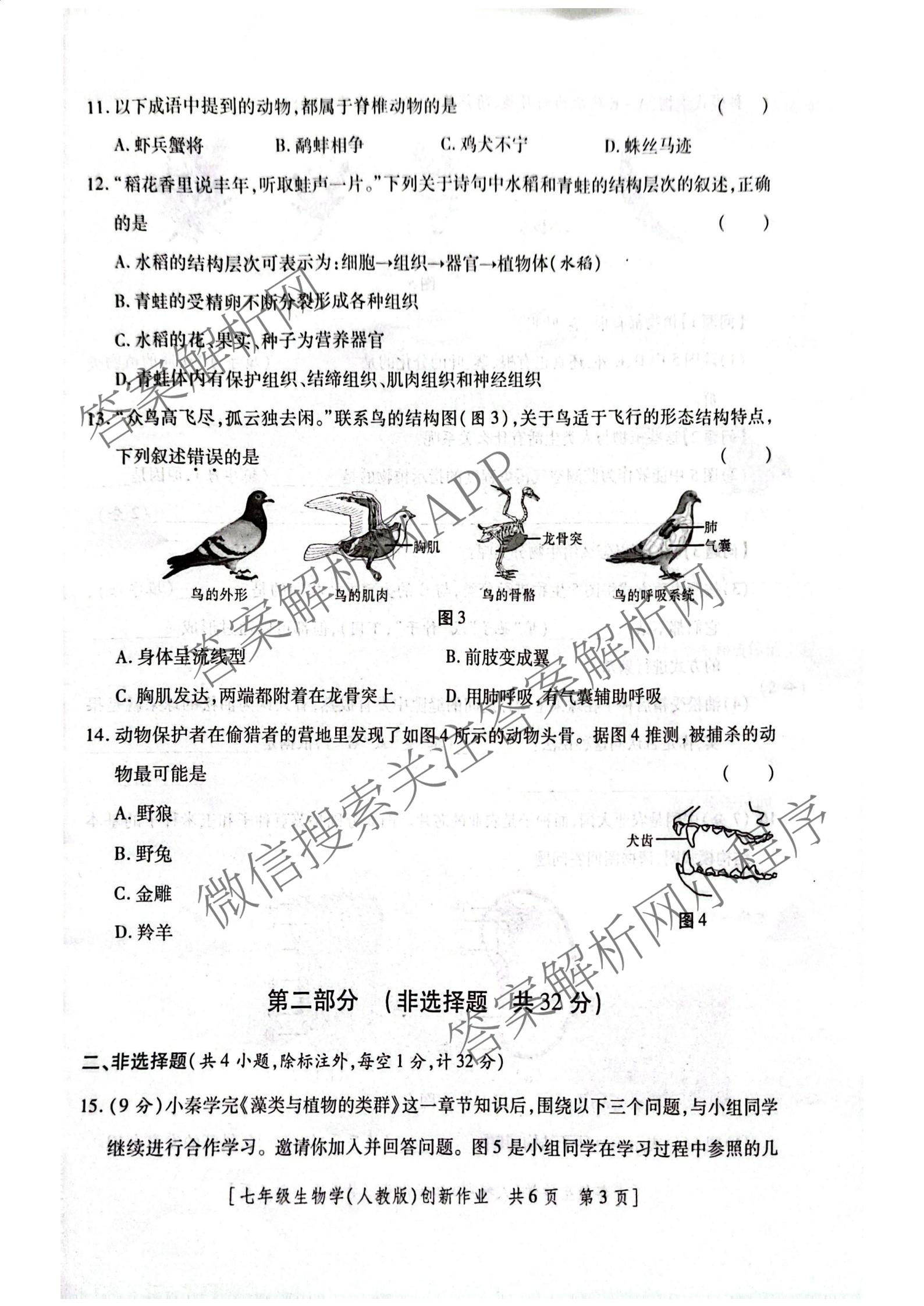 陕西省2025-2026学年度第一学期第三阶段创新作业七年级各科答案及试卷（7科全）生物试题