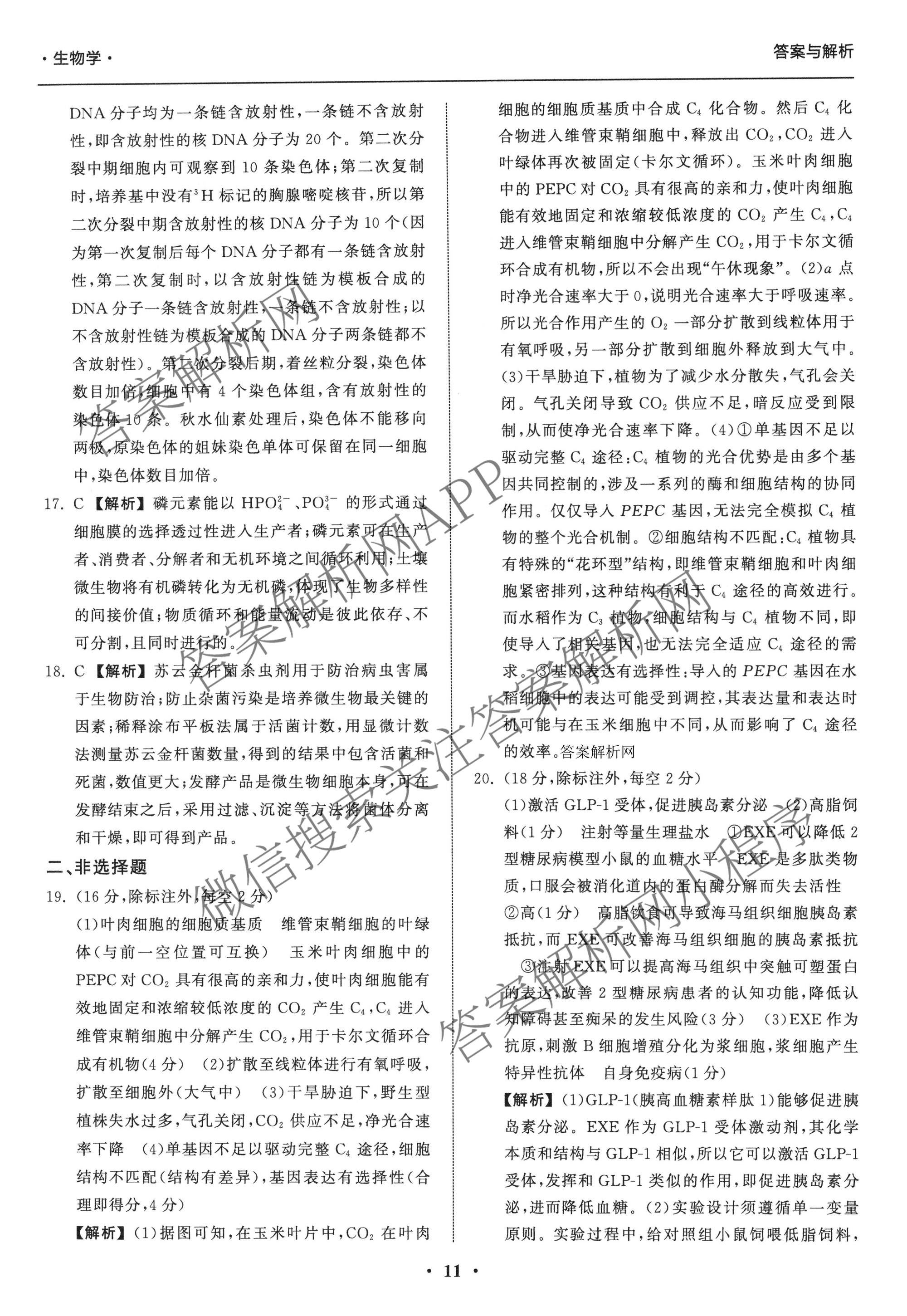 天舟高考衡中同卷2026年普通高等学校招生全国统一考试模拟信息卷(三)3（含历史(HJ) 地理(GY) 数学(无字母)等）生物答案