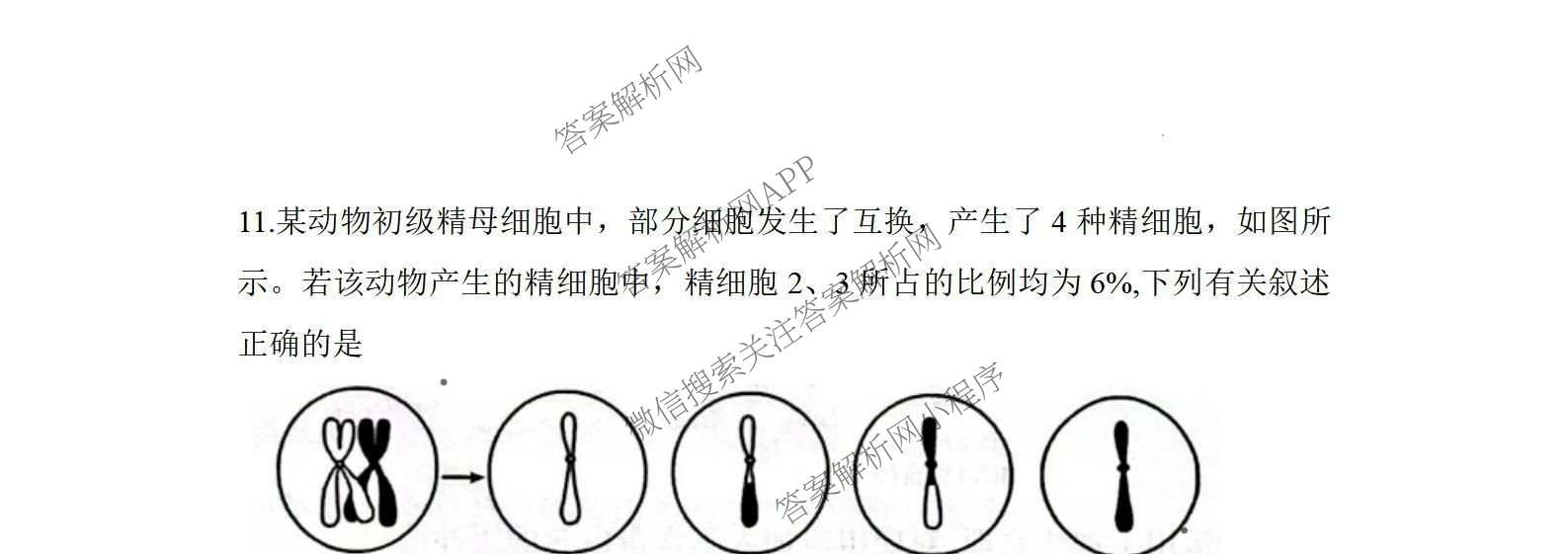 湖南省2026届高三学情调研(二)（含化学 数学 语文等）生物试题