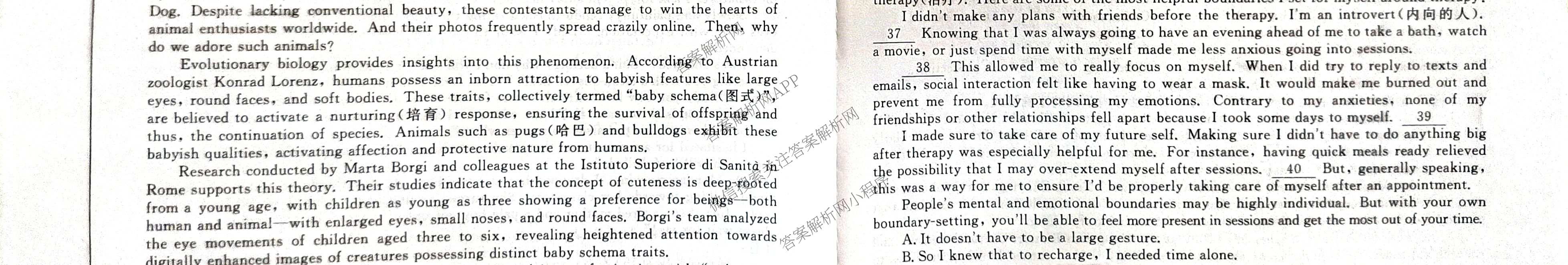 2025年普通高校招生考试冲刺压轴卷(一)1各科答案及试卷(已更新历史(K在括号外)、语文(X在括号外)、生物(A在括号外)等58份)英语试题