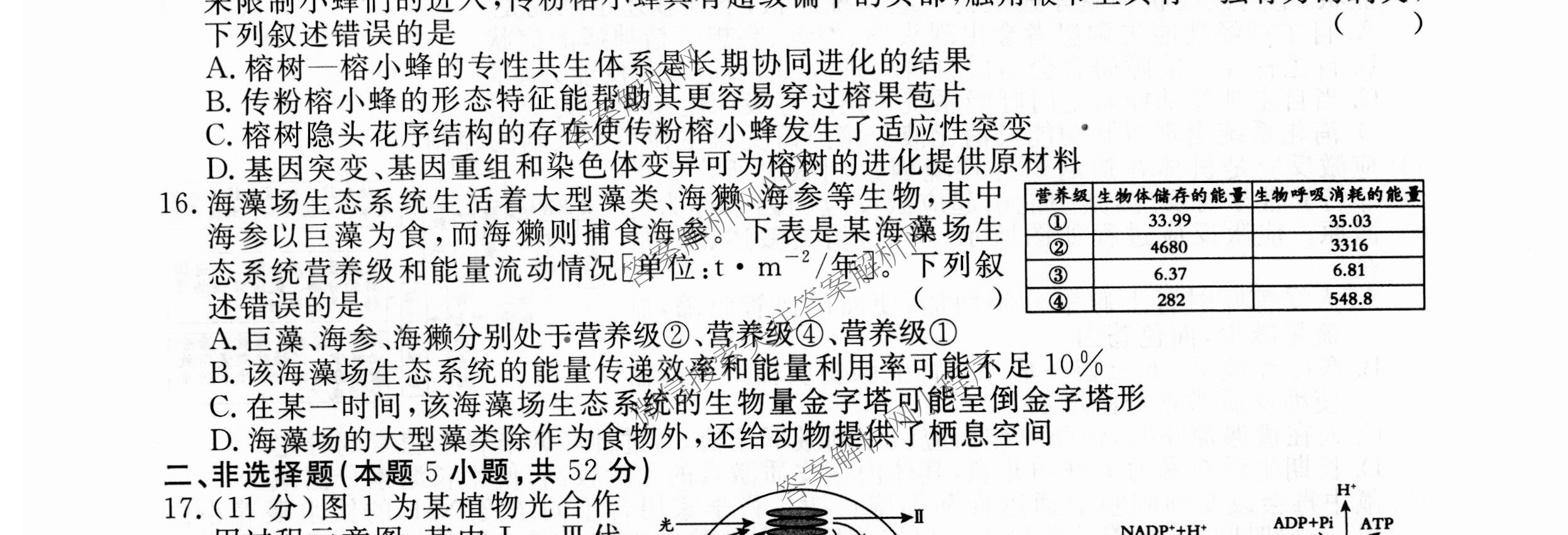 2026届高三总复习名师原创模拟(四)4试卷及答案汇总: 含政治(新S6J) 历史(新S6J) 语文(XS6J)试卷解析生物试题