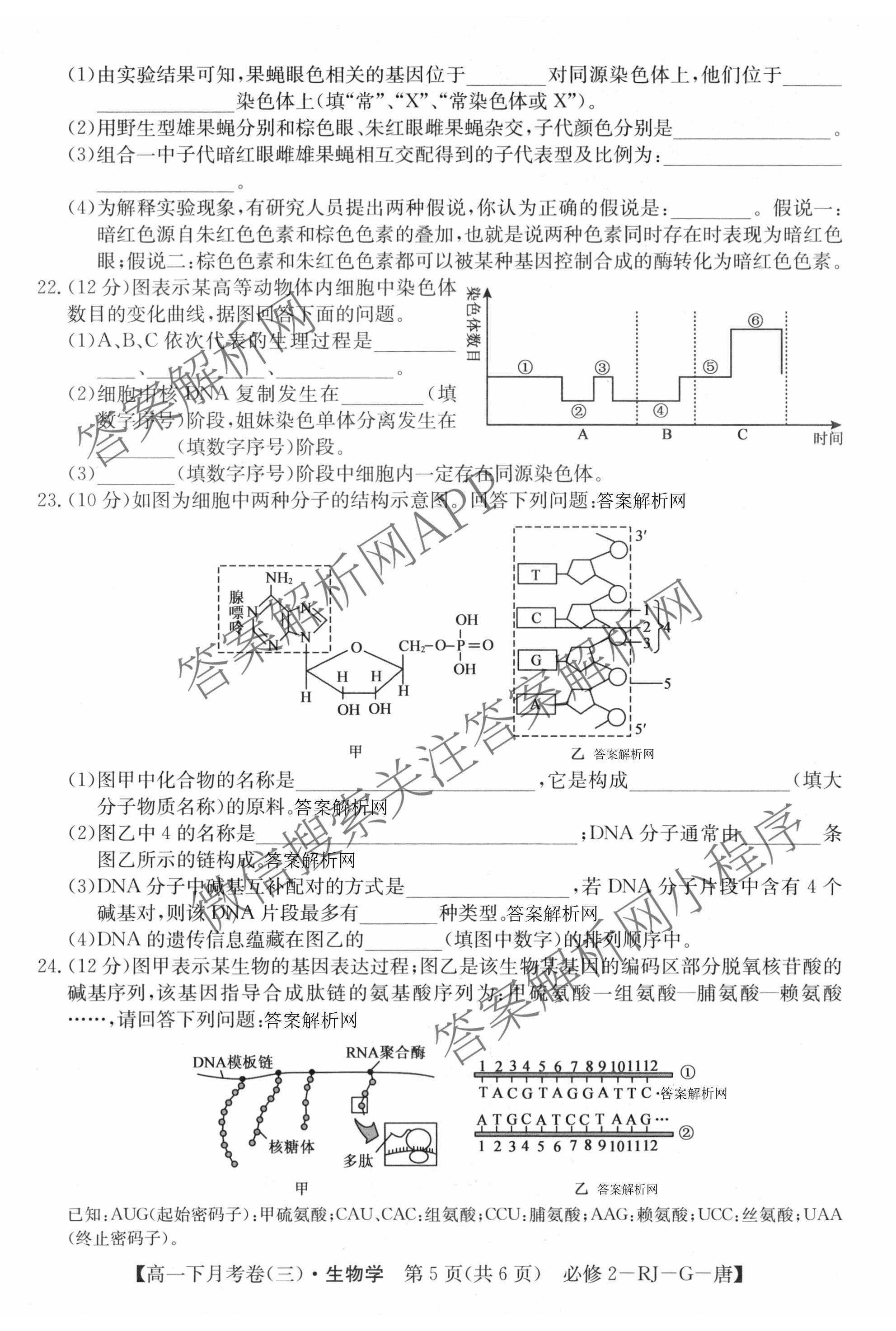 2025~2026全国名校高一下学期第三次月考试卷（含物理(必修第二册-RJ-G-唐)、历史(《中外历史纲要下》-BB-X-F-唐)、语文(必修下册-BB-X-F-唐)等）生物试题