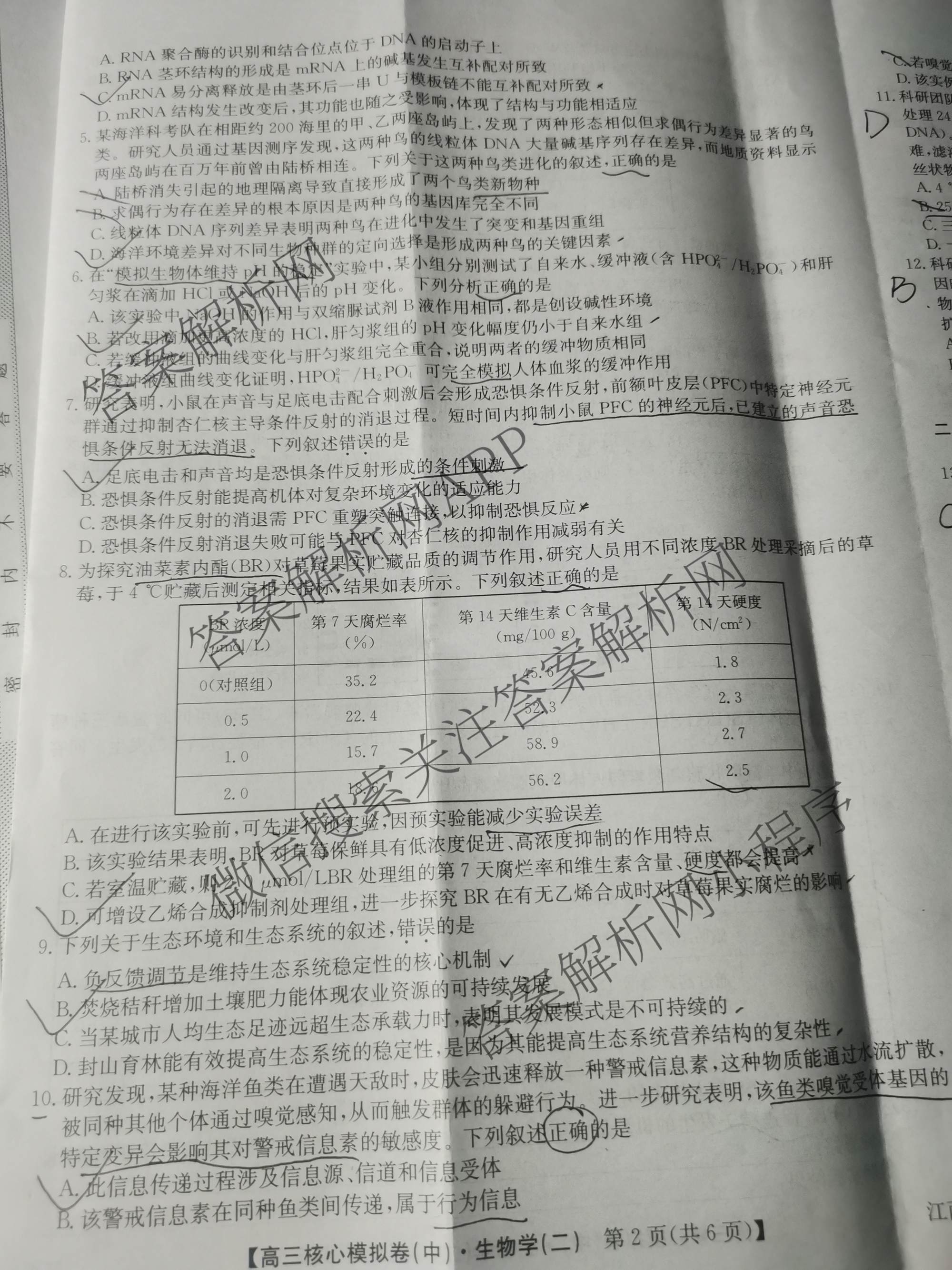 九师联盟2025~2026学年高三核心模拟卷(中)(二)试卷及答案汇总（含化学(D2) 物理(A1) 生物(WH)等）生物试题