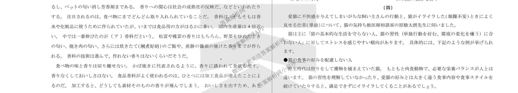  天一大联考2025-2026学年(上)高三阶段性检测试卷及答案汇总(已更新化学、化学(鲁科版)、历史等11份)日语试题