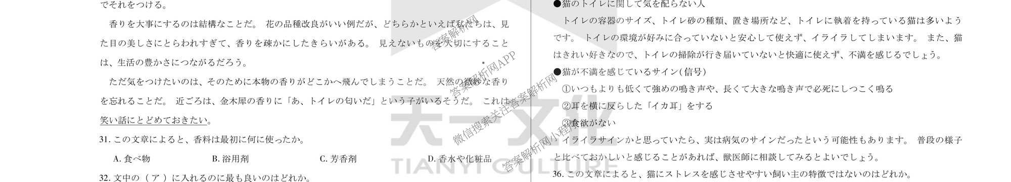  天一大联考2025-2026学年(上)高三阶段性检测试卷及答案汇总(已更新化学、化学(鲁科版)、历史等11份)日语试题