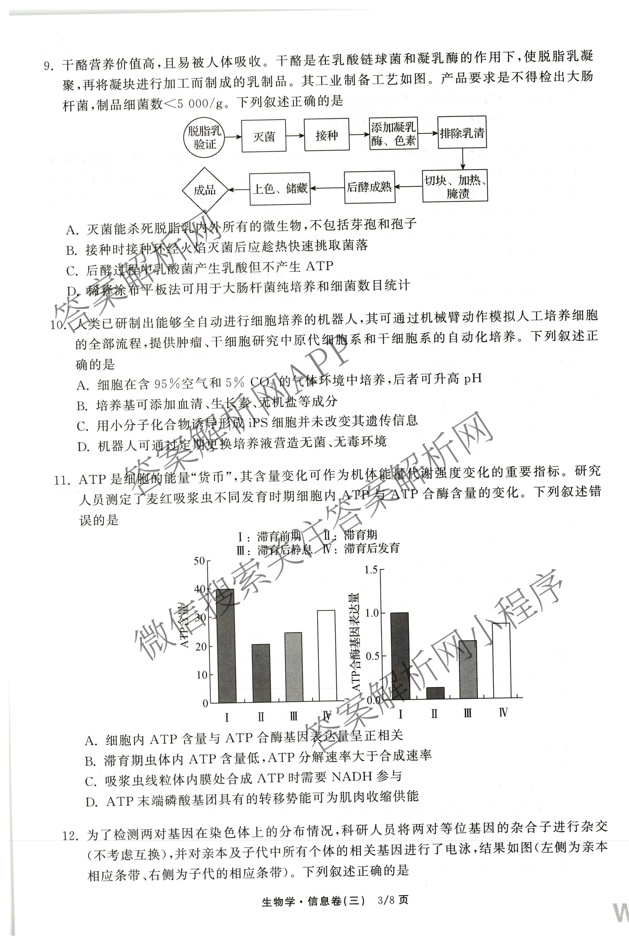 天舟高考衡中同卷2026年普通高等学校招生全国统一考试模拟信息卷(三)3（含历史(HJ)、数学(B)、文综(新疆版)等）生物试题