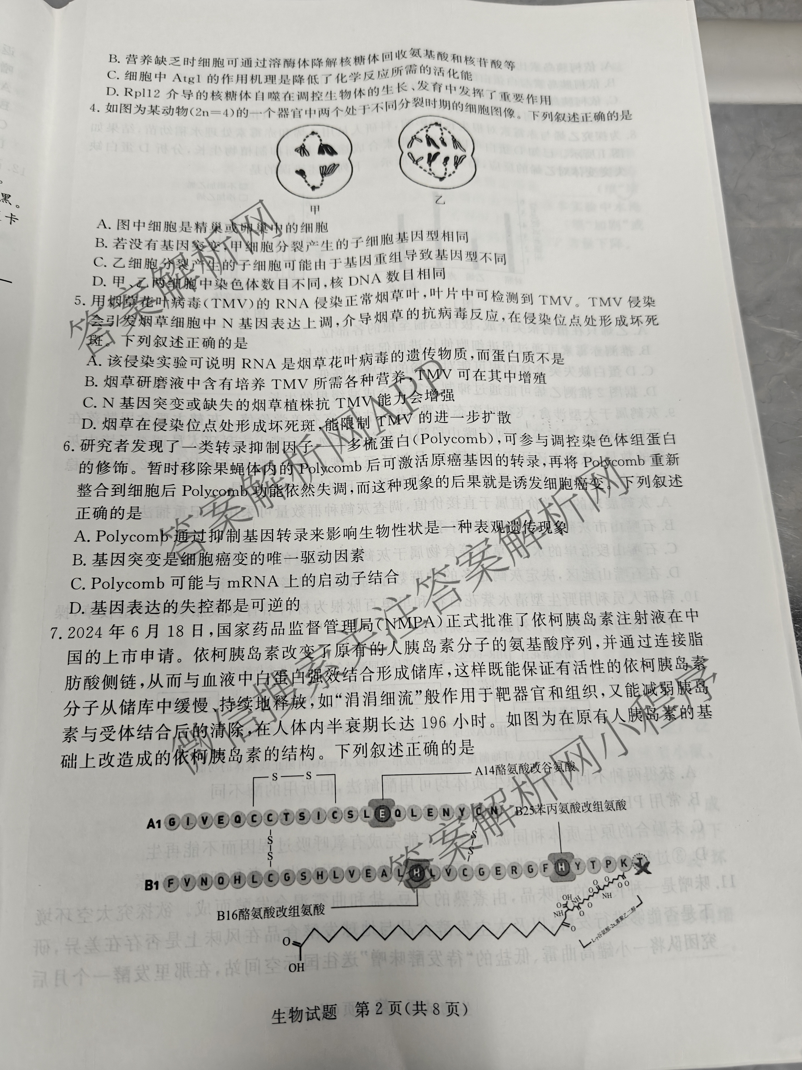 青桐鸣2025届普通高等学校招生全国统一考试青桐鸣大联考(高三)(5.9)各科答案及试卷（含历史、语文、政治等）生物试题