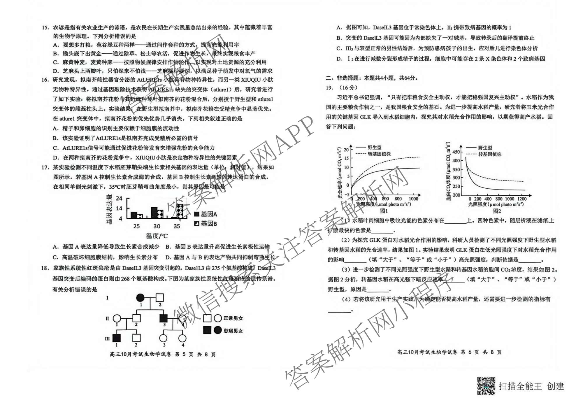 湖北省部分名校2025年高三年级10月考试（含历史 物理 英语等）生物试题