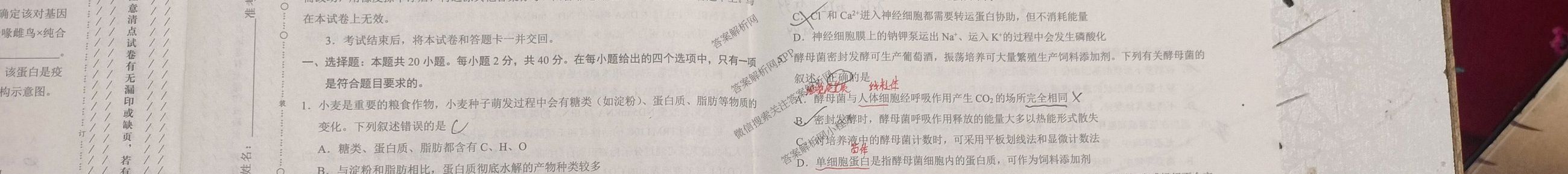 学科网2026届新高三学情摸底考试卷及答案汇总（58科全）生物试题