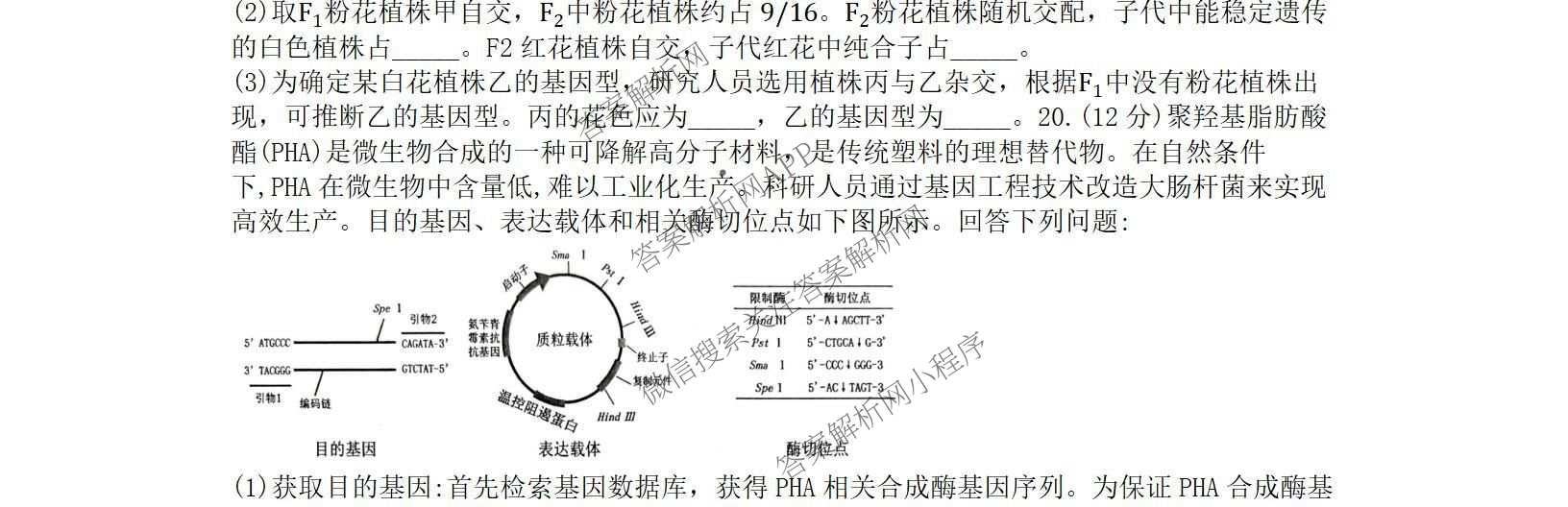 重庆八中高2027级高三(上)入学测试试卷及答案汇总（9科全）生物试题