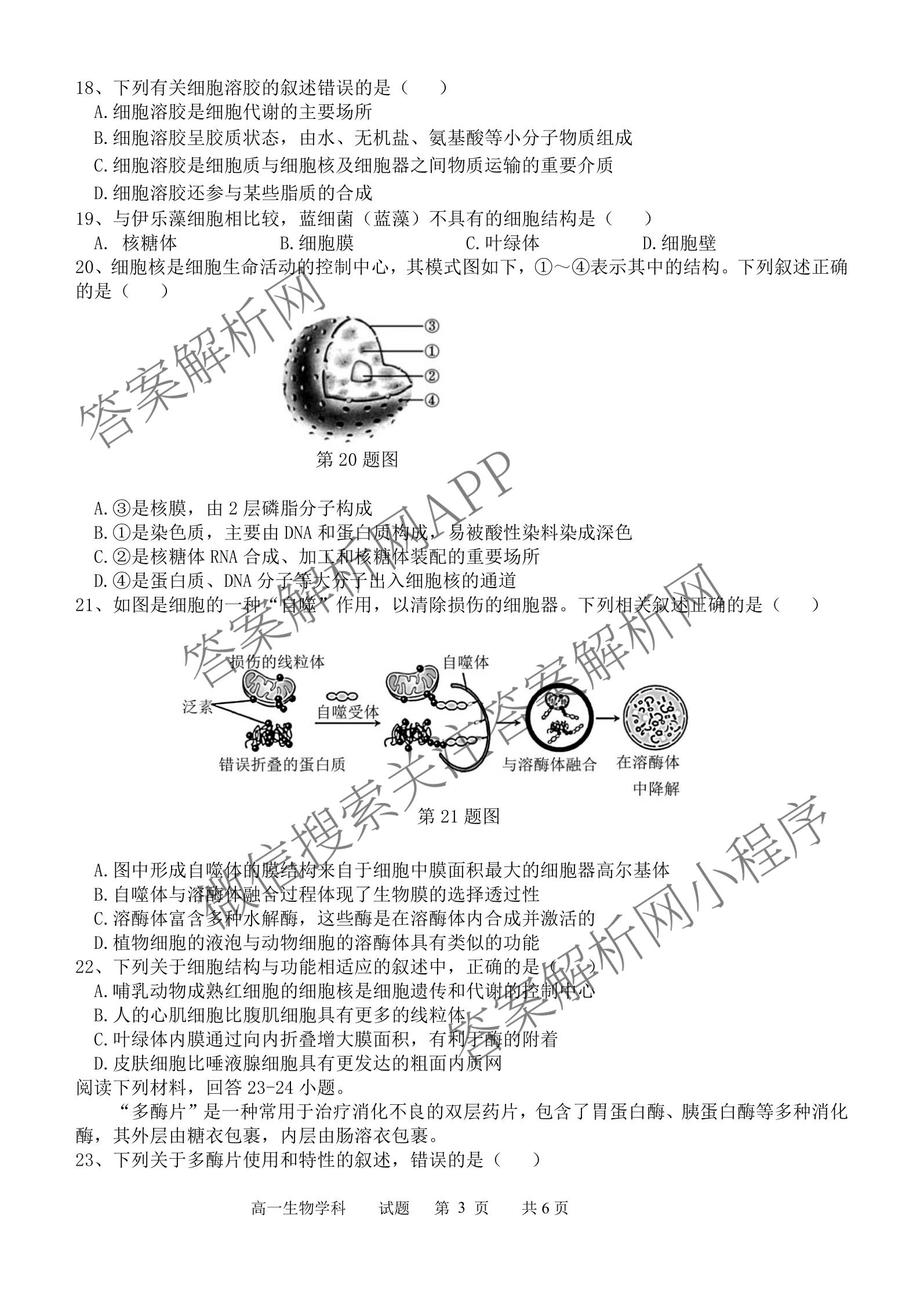 2025学年第一学期温州十校联合体期中联考高一年级试卷及答案汇总: 含技术 政治 物理试卷解析生物试题
