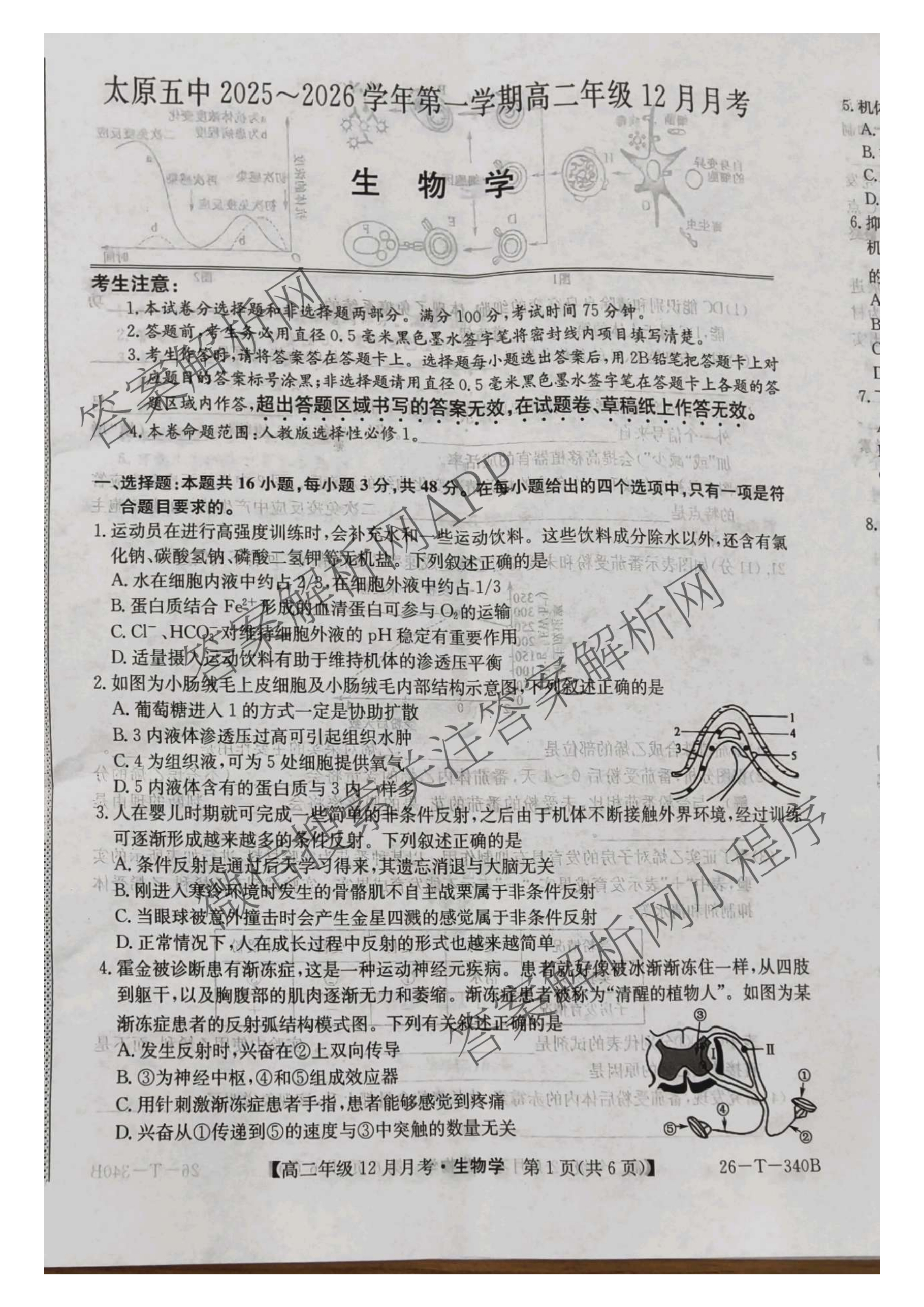 山西省太原五中2025~2026学年第一学期高二年级12月月考(26-T-340B)各科答案及试卷: 含生物 化学 数学试卷解析生物试题