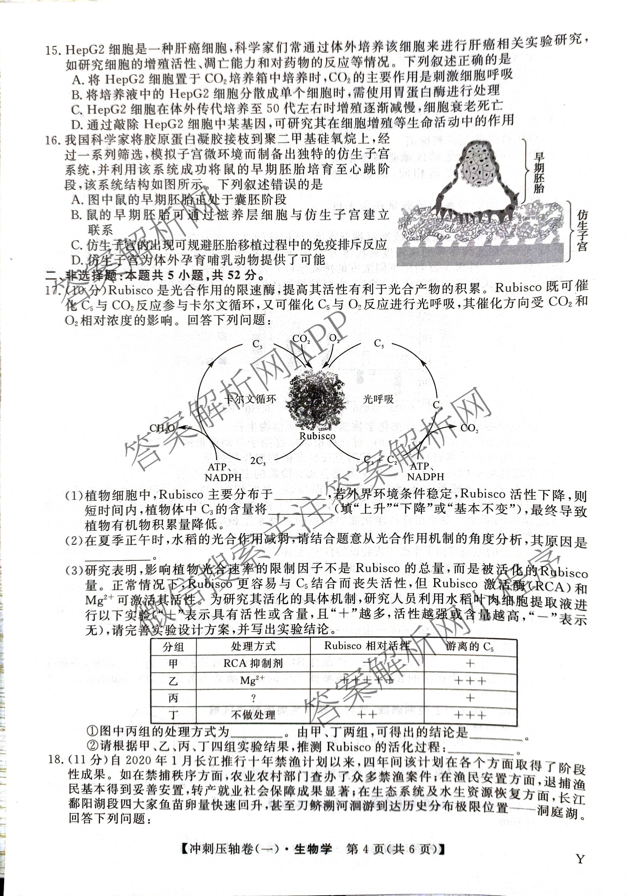 2025年普通高校招生考试冲刺压轴卷(一)1各科答案及试卷(已更新历史(K在括号外)、语文(X在括号外)、生物(A在括号外)等58份)生物试题