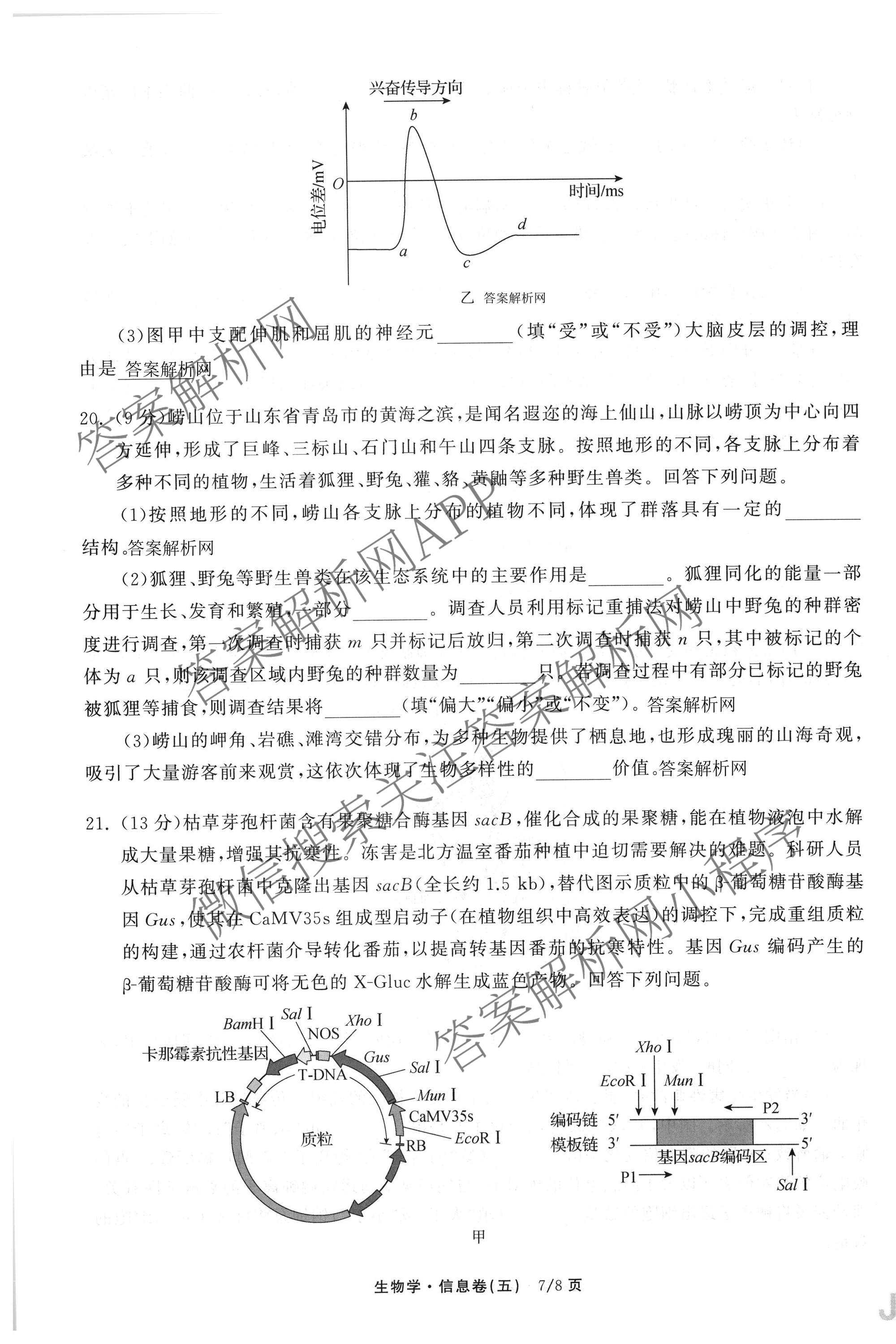 天舟高考衡中同卷2026年普通高等学校招生全国统一考试模拟信息卷(五)5试卷及答案汇总（含化学(WG)、化学(WY)、物理(山东版)等）生物试题