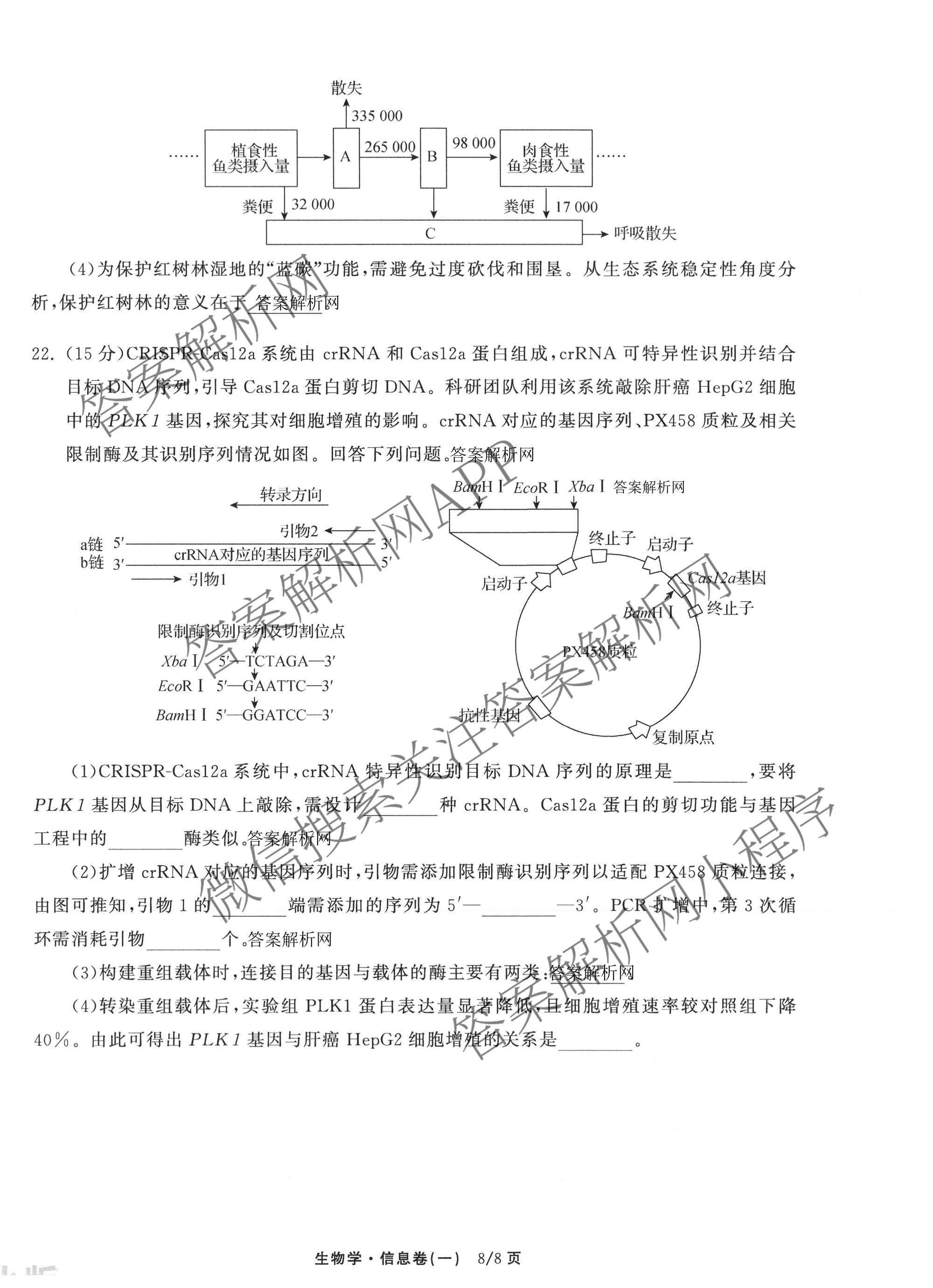 天舟高考衡中同卷2026年普通高等学校招生全国统一考试模拟信息卷(一)1（含历史(WY)、数学(B)、物理(WY)等）生物试题
