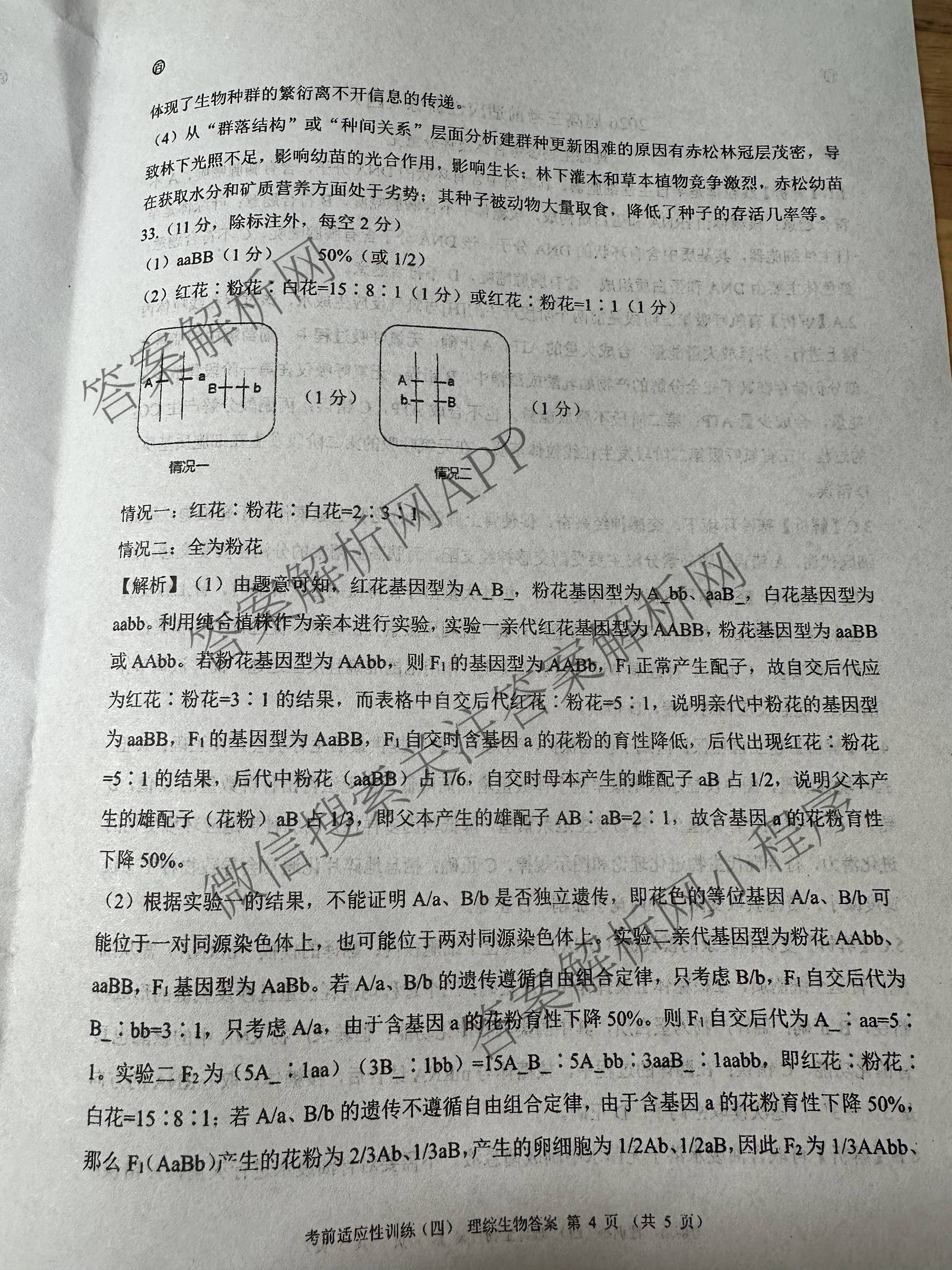 百师联盟2026届高三考前适应性训练(四)（26科全）理综答案