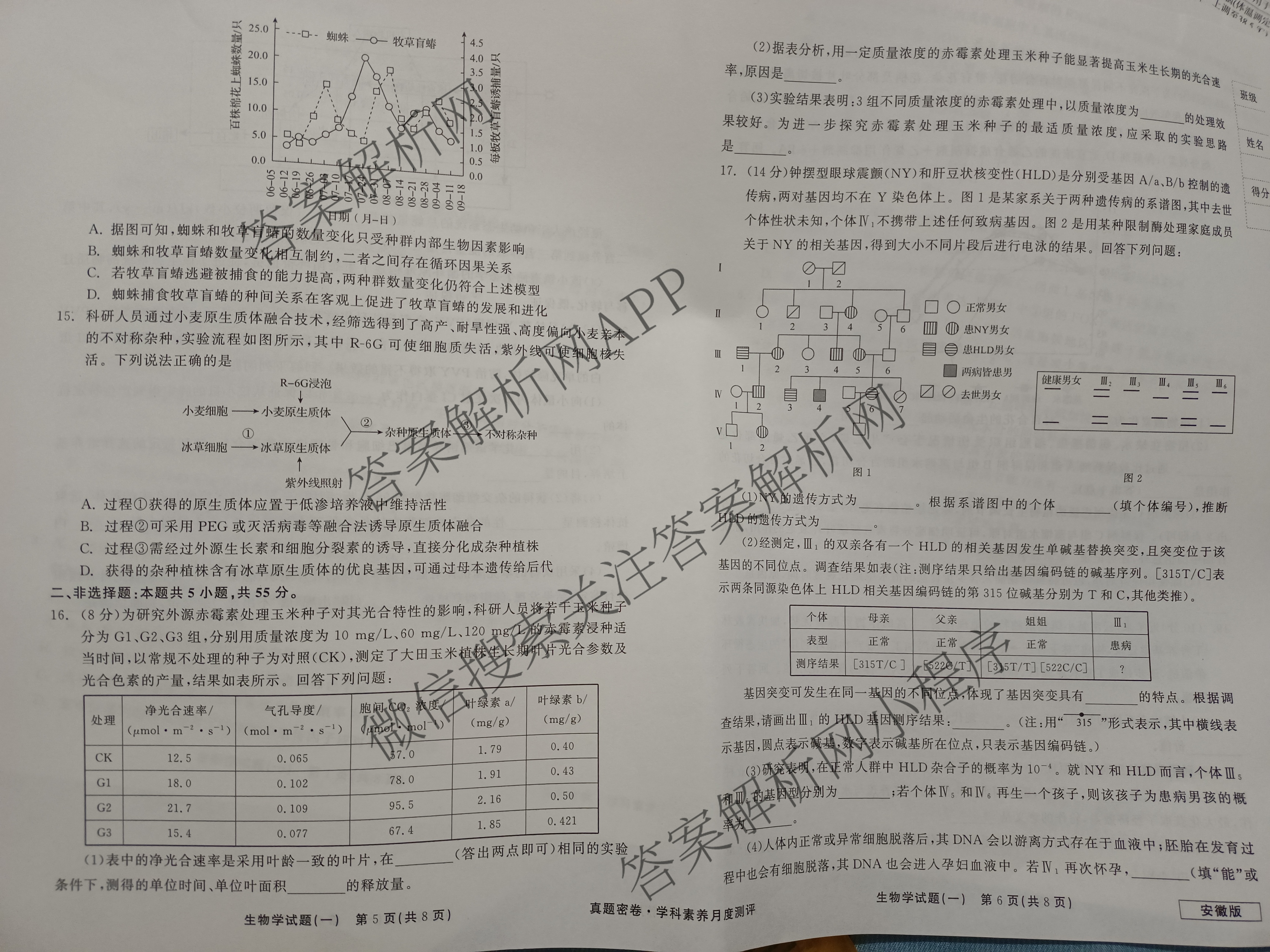 真题密卷2024年学科素养月度测评(一)各科答案及试卷(已更新物理(安徽版)、英语、语文等11份)生物试题