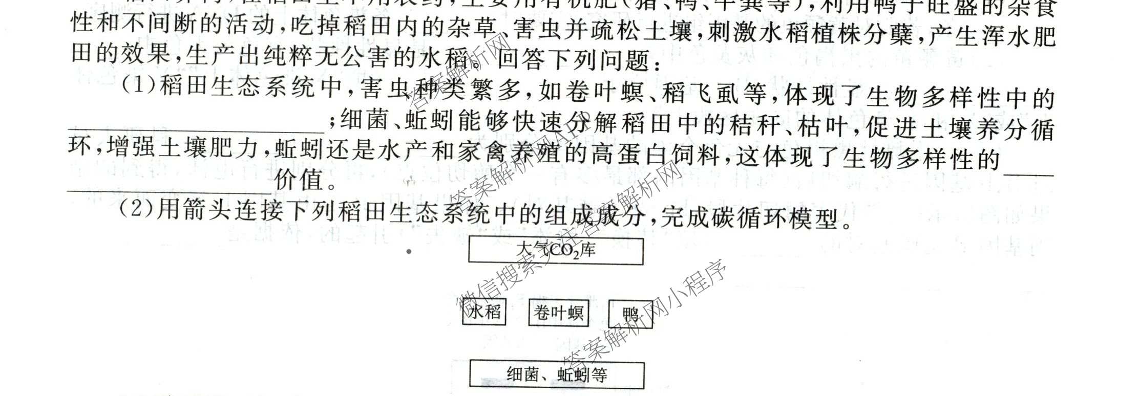 衡水金卷2025-2026学年度高三年级适应性测试(一)各科答案及试卷(已更新地理 生物 语文等9份)生物试题