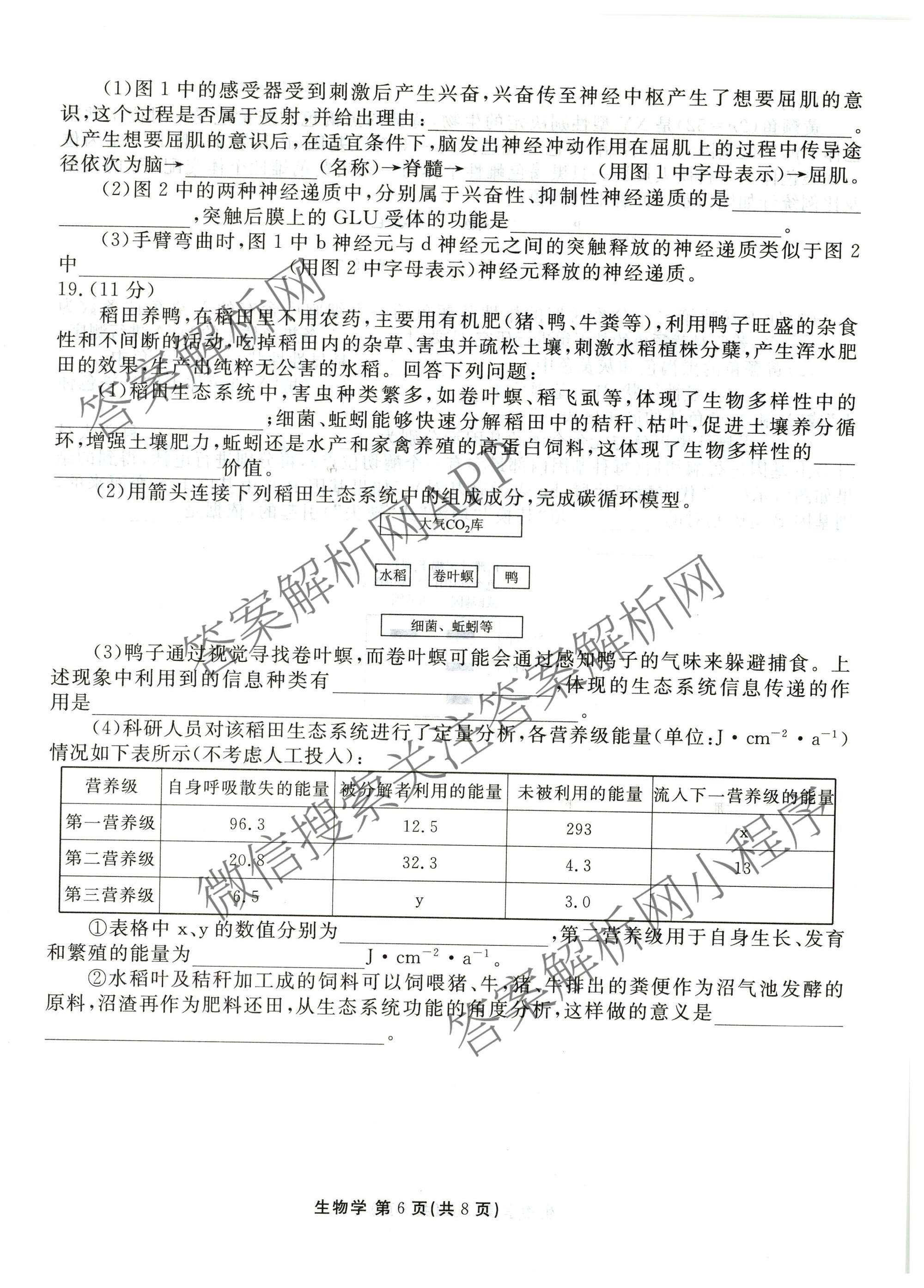 衡水金卷2025-2026学年度高三年级适应性测试(一)各科答案及试卷（含政治、英语、语文等）生物试题