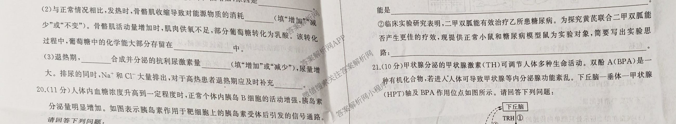 百师联盟2025-2026学年高二上学期阶段测试卷(二)2试卷及答案汇总(已更新历史(90分钟) 地理(75分钟) 物理(75分钟多选)等26份)生物试题