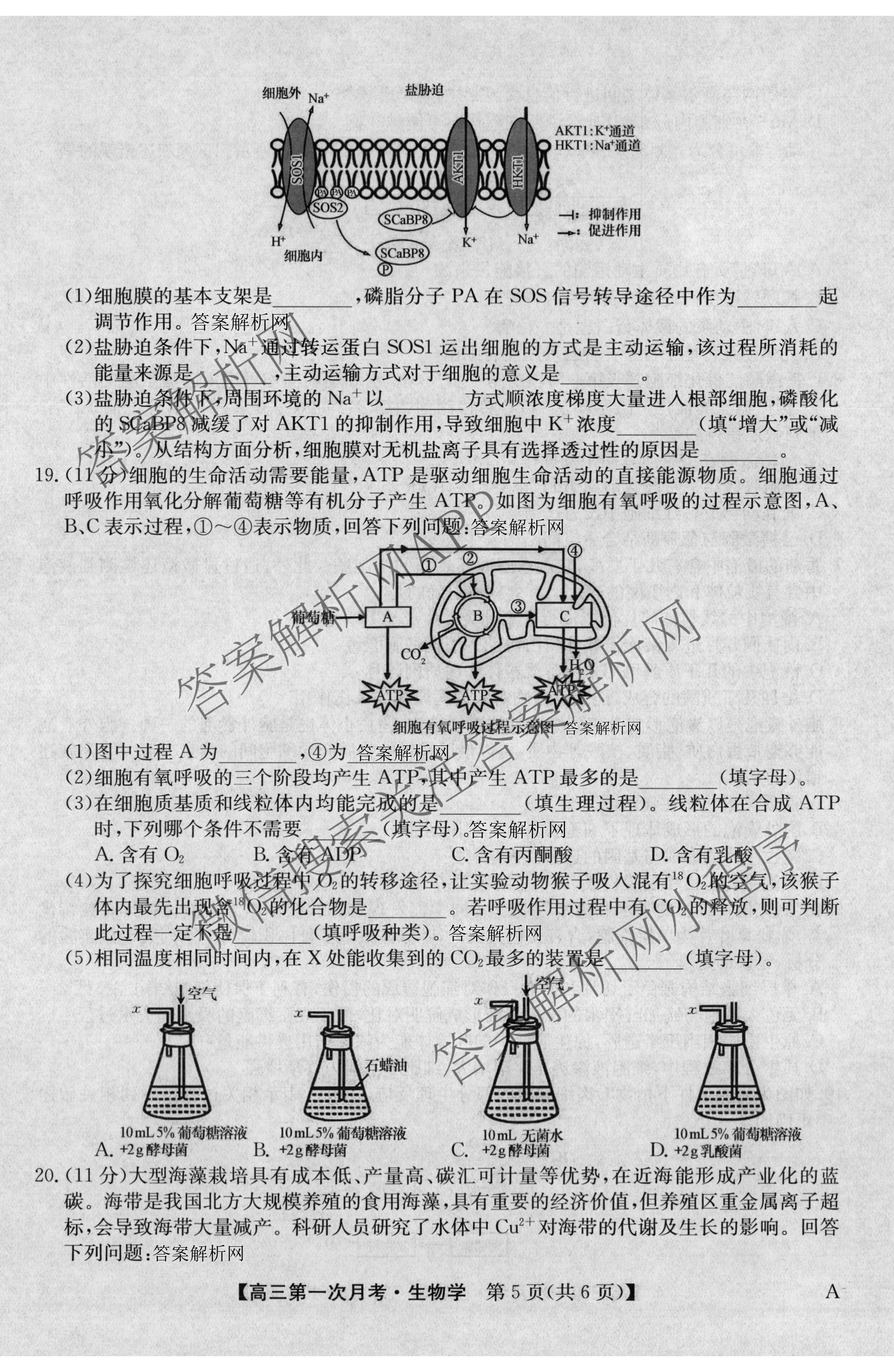 全国名校2026届高三月考滚动卷(一)1各科答案及试卷（含化学(A) 地理(A) 生物(A)等）生物试题